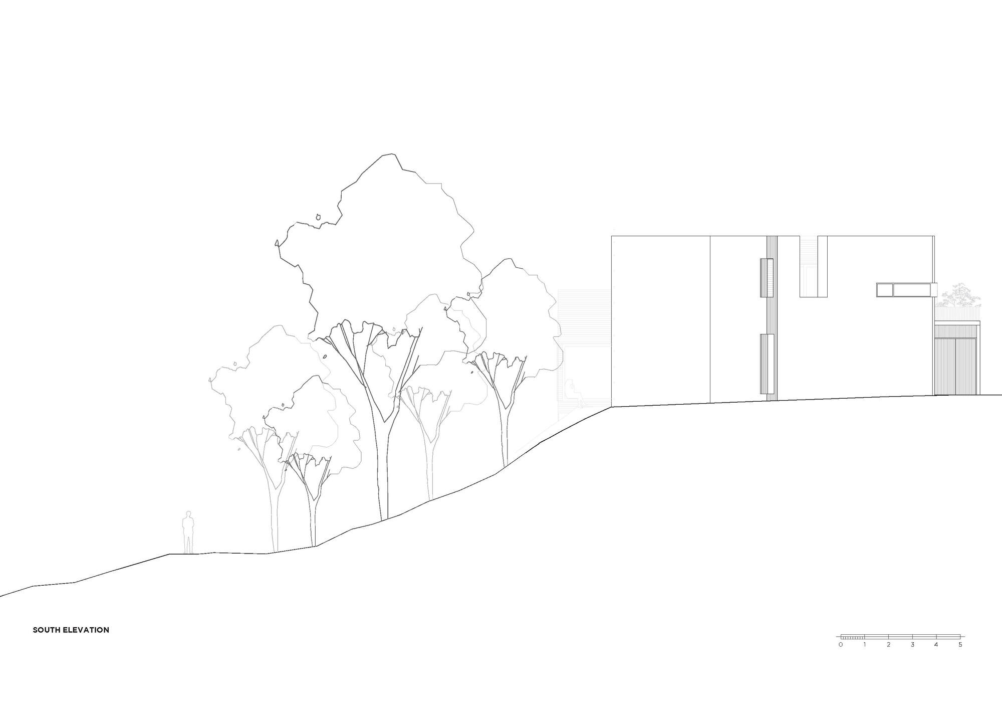 South elevation drawing showing a rectangular volume on sloping terrain with mature trees
