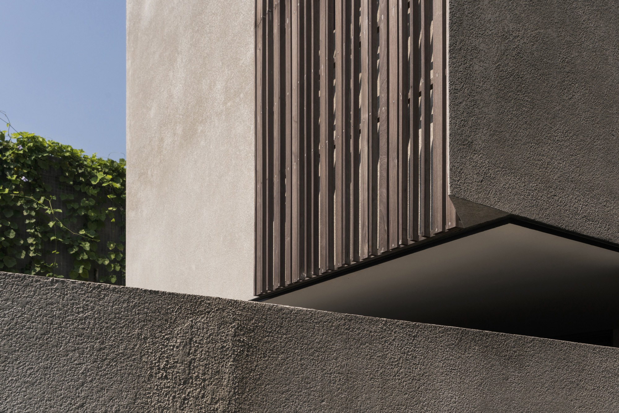 Detail of textured concrete overhang with vertical timber screen beside a planted green wall