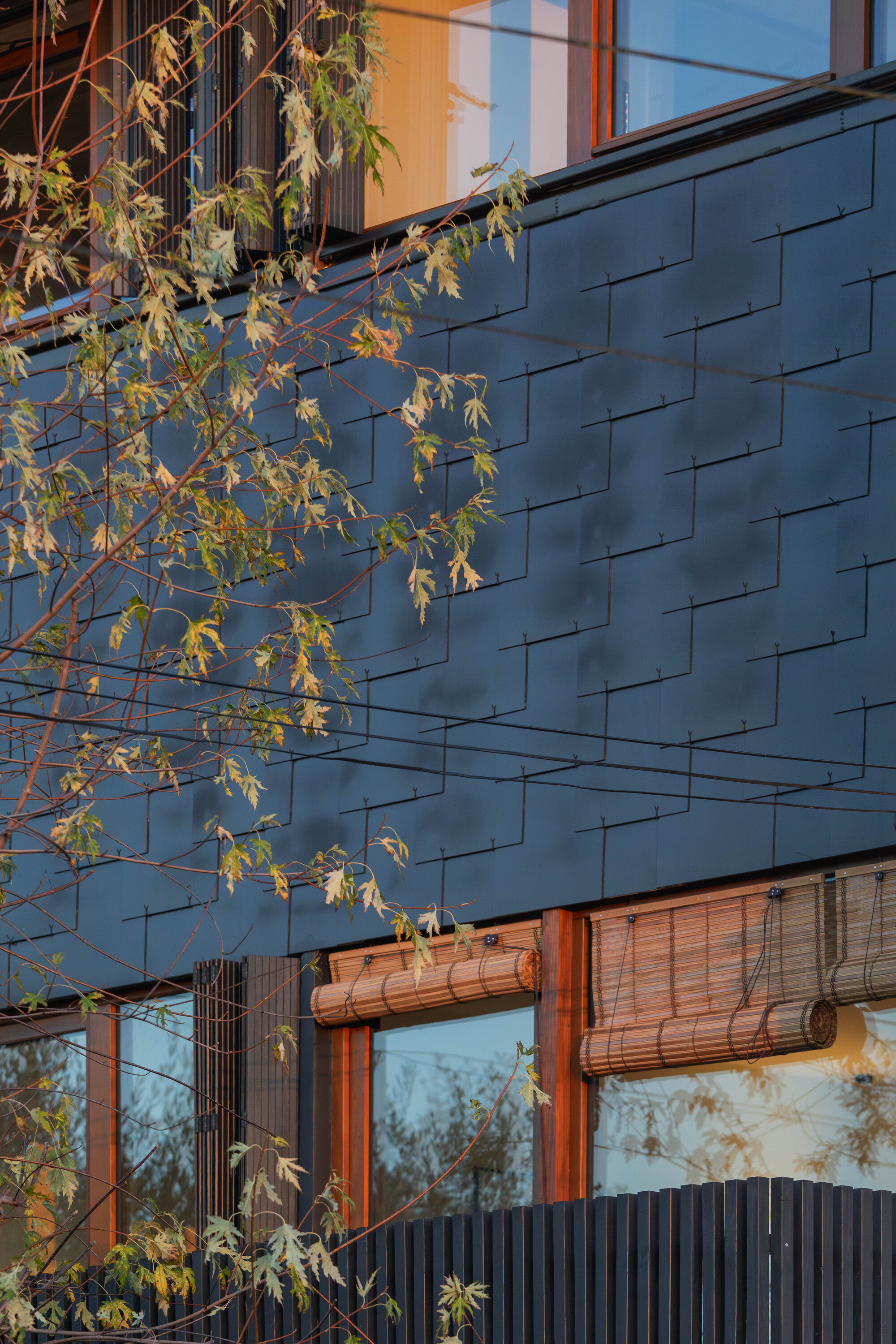 Blue slate facade with timber-framed windows and bamboo shades behind autumn branches