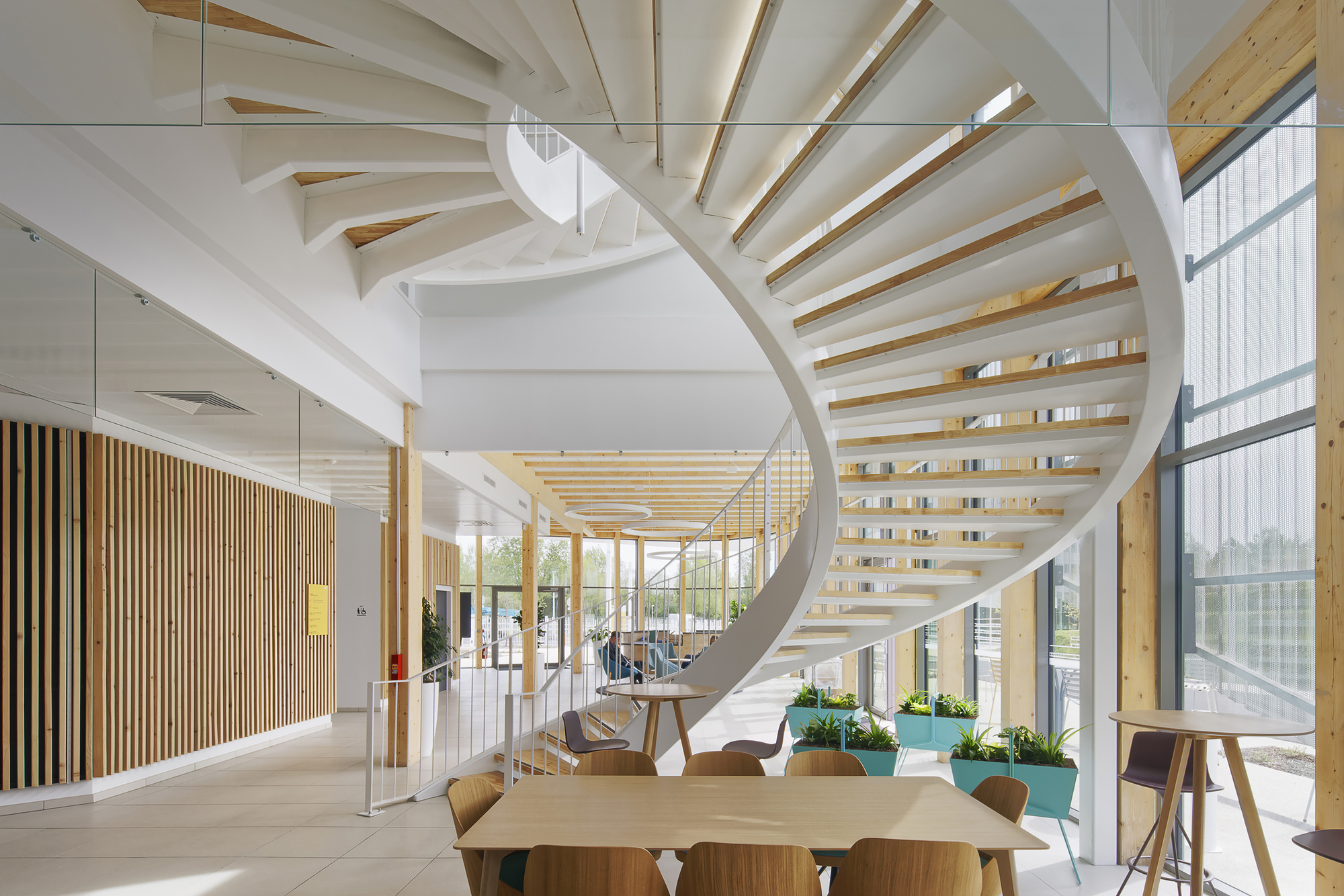 White helical staircase rising through an atrium with exposed timber beams overhead