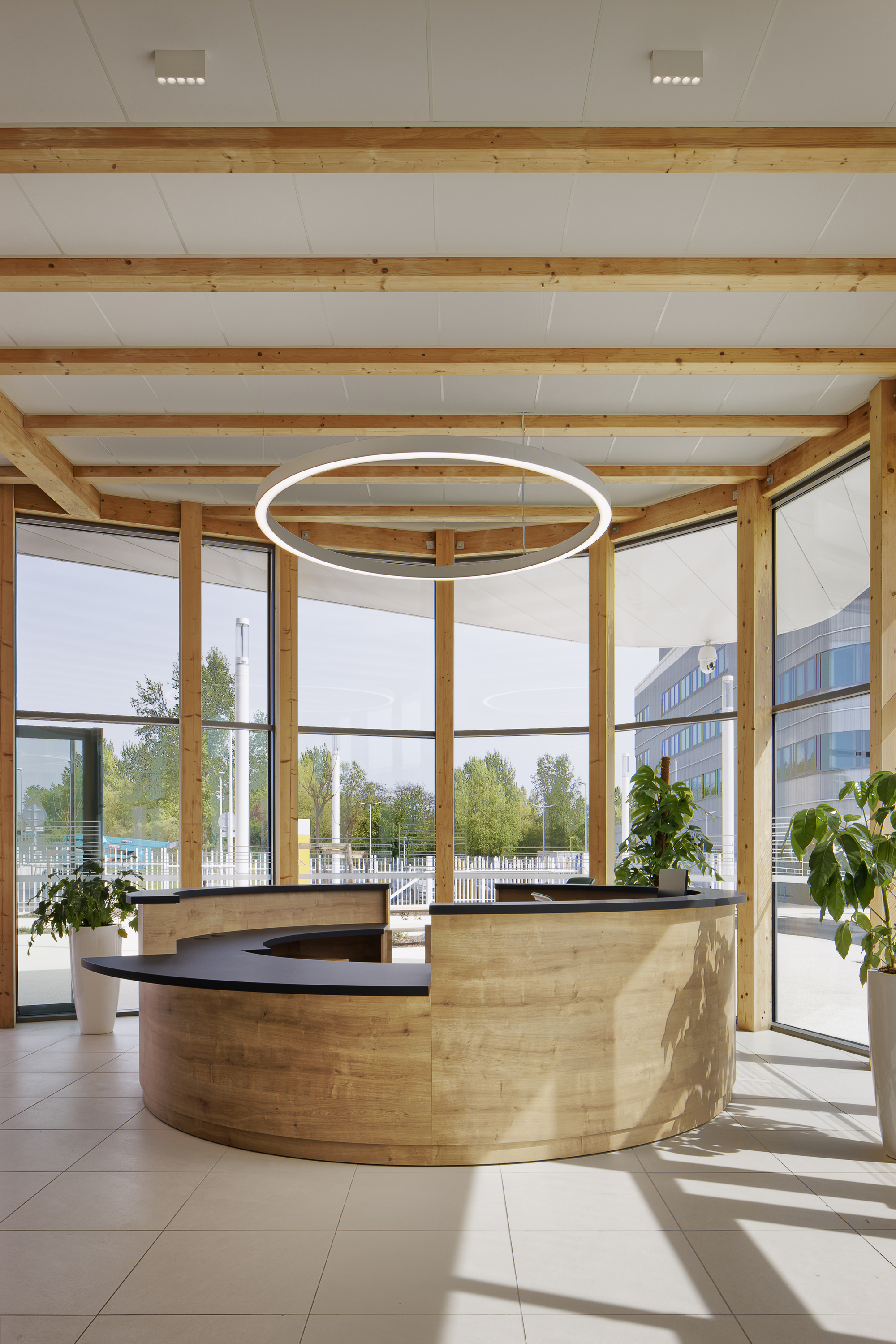 Curved timber reception desk beneath exposed wooden beams and a circular pendant light in bright daylight