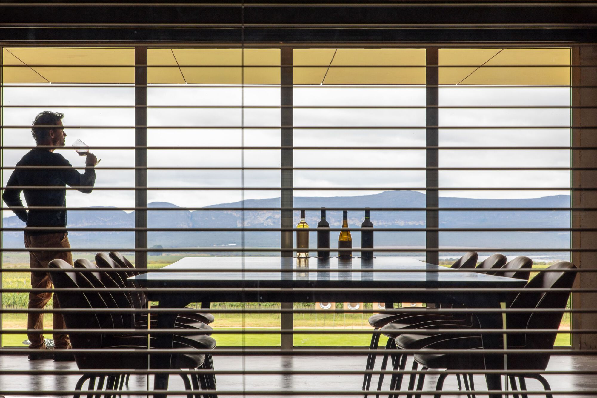 Horizontal louvered screen with a visitor silhouetted against the vineyard and mountain view beyond