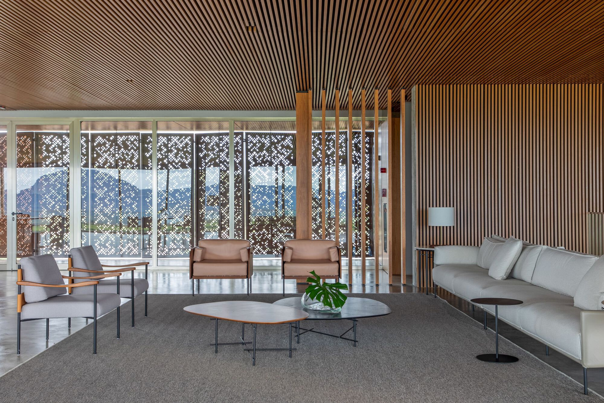 Lobby with slatted timber ceiling and perforated metal screens overlooking the vineyard landscape