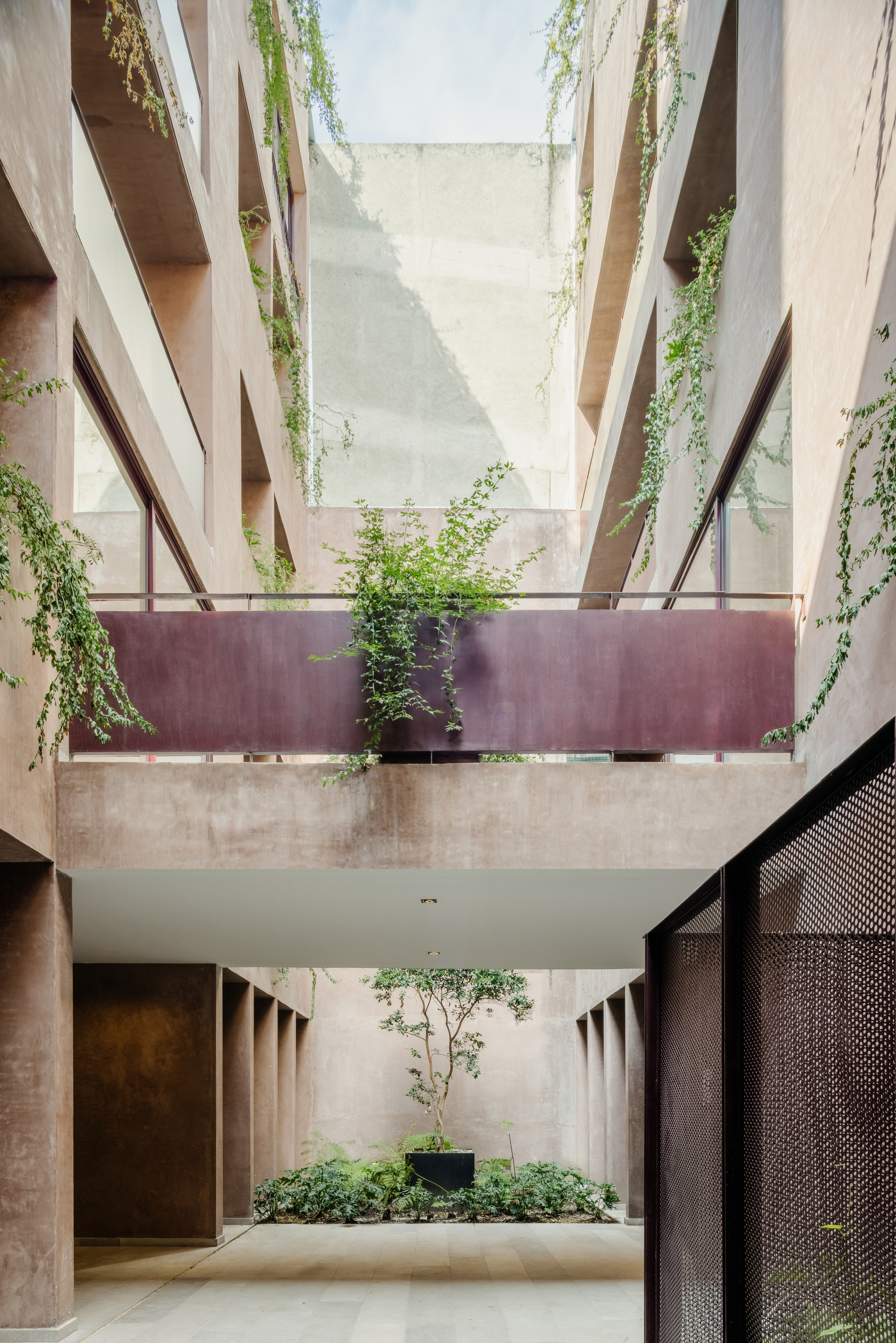Interior courtyard with planted bridge overhead and a young tree in a black planter below