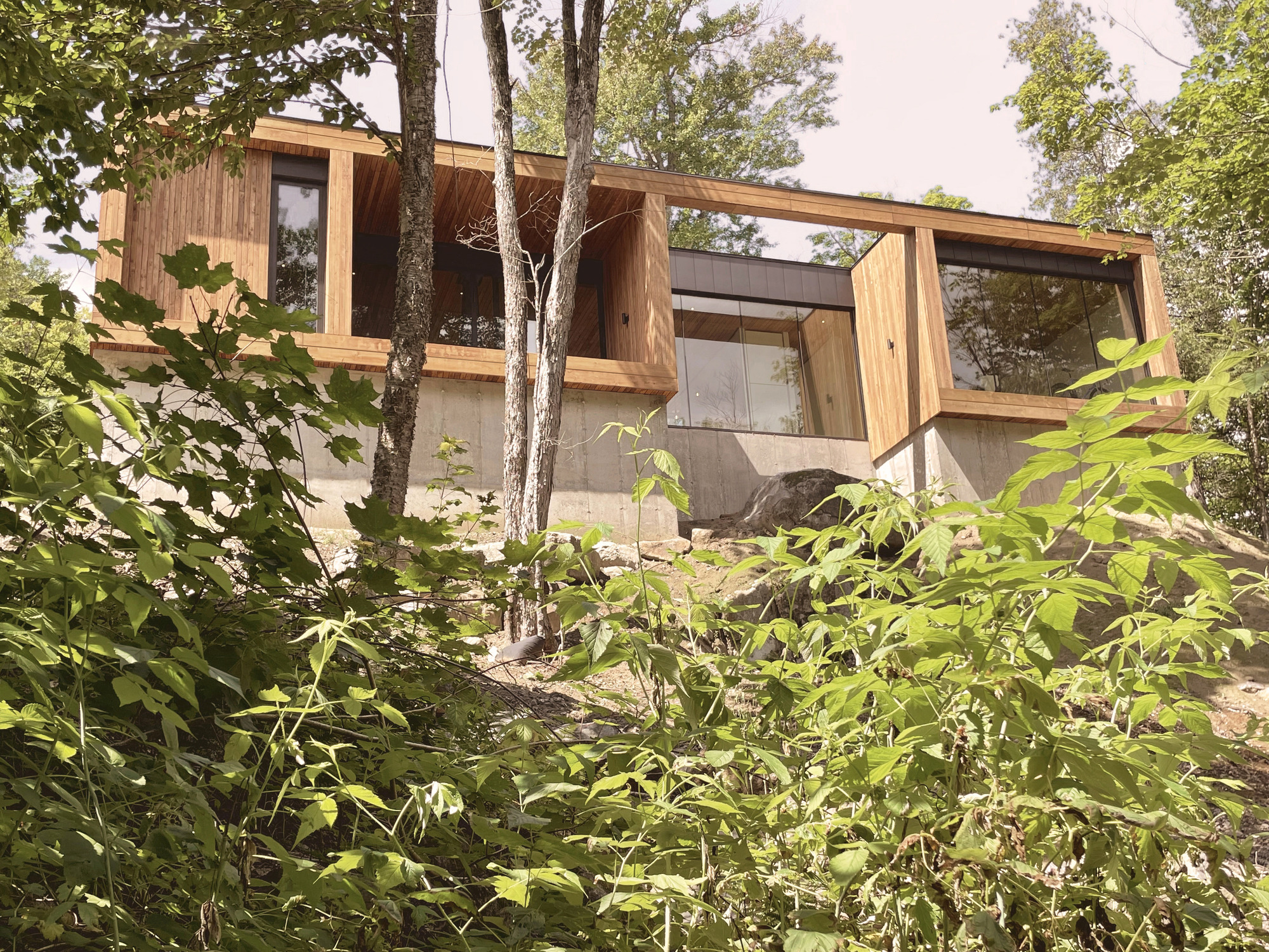 Timber and concrete facade elevated above a sloped wooded site with native vegetation