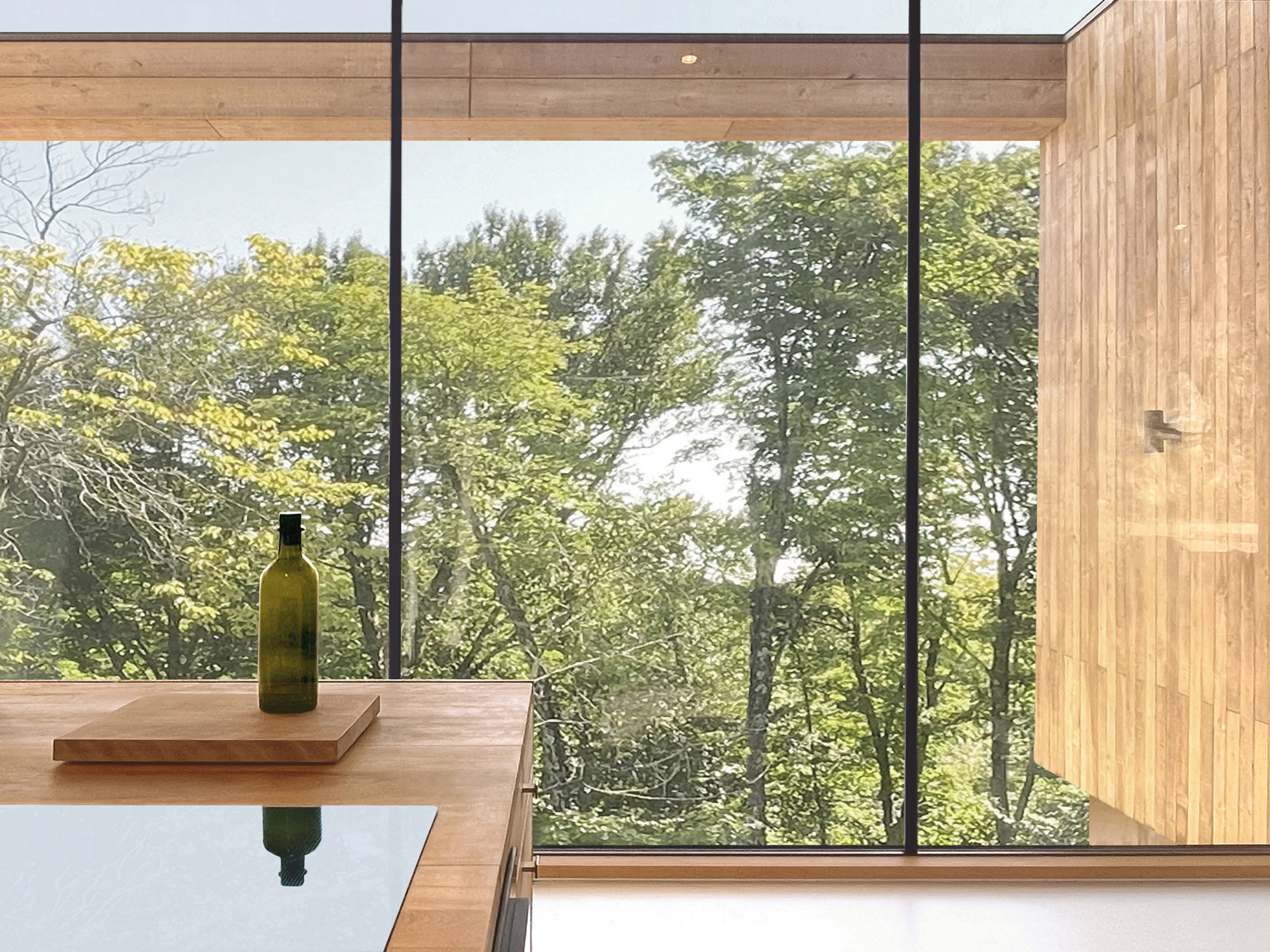 Floor-to-ceiling glazing framing a view of deciduous trees through black steel mullions with timber soffit above
