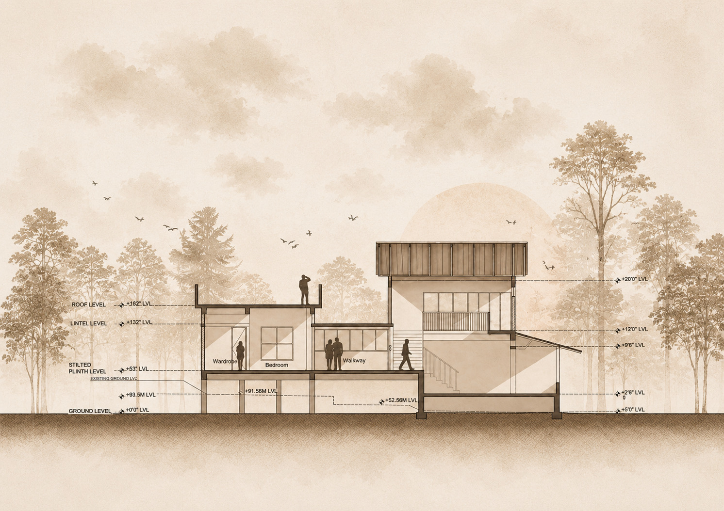 Section drawing showing split-level interior spaces with timber cladding and surrounding trees with birds overhead