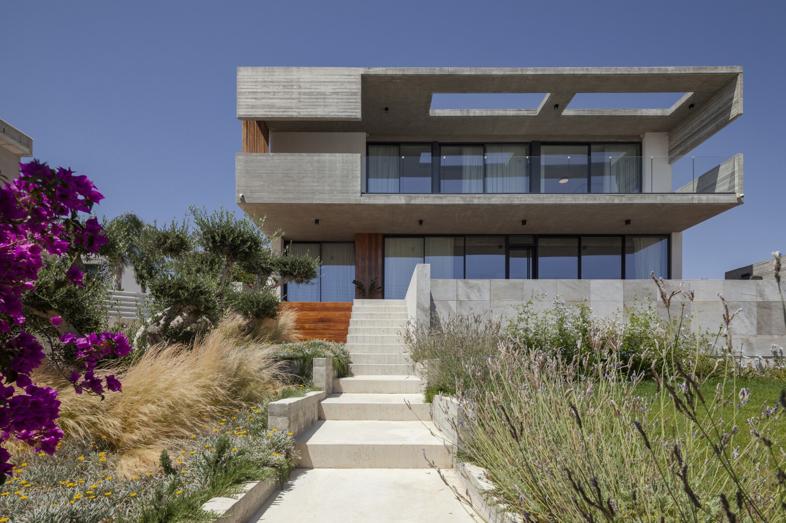 Concrete entry stairway ascending through planted beds with ornamental grasses and bougainvillea