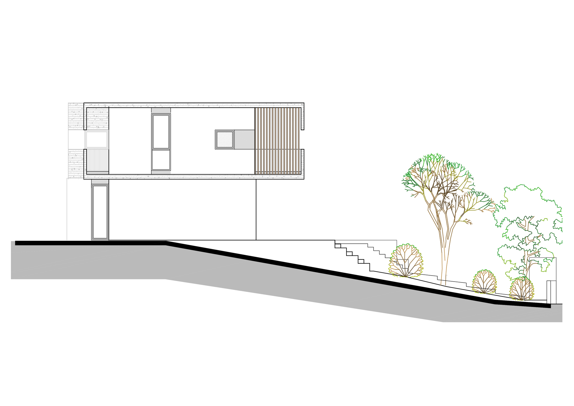 Section drawing illustrating the residence on a sloping site with adjacent trees