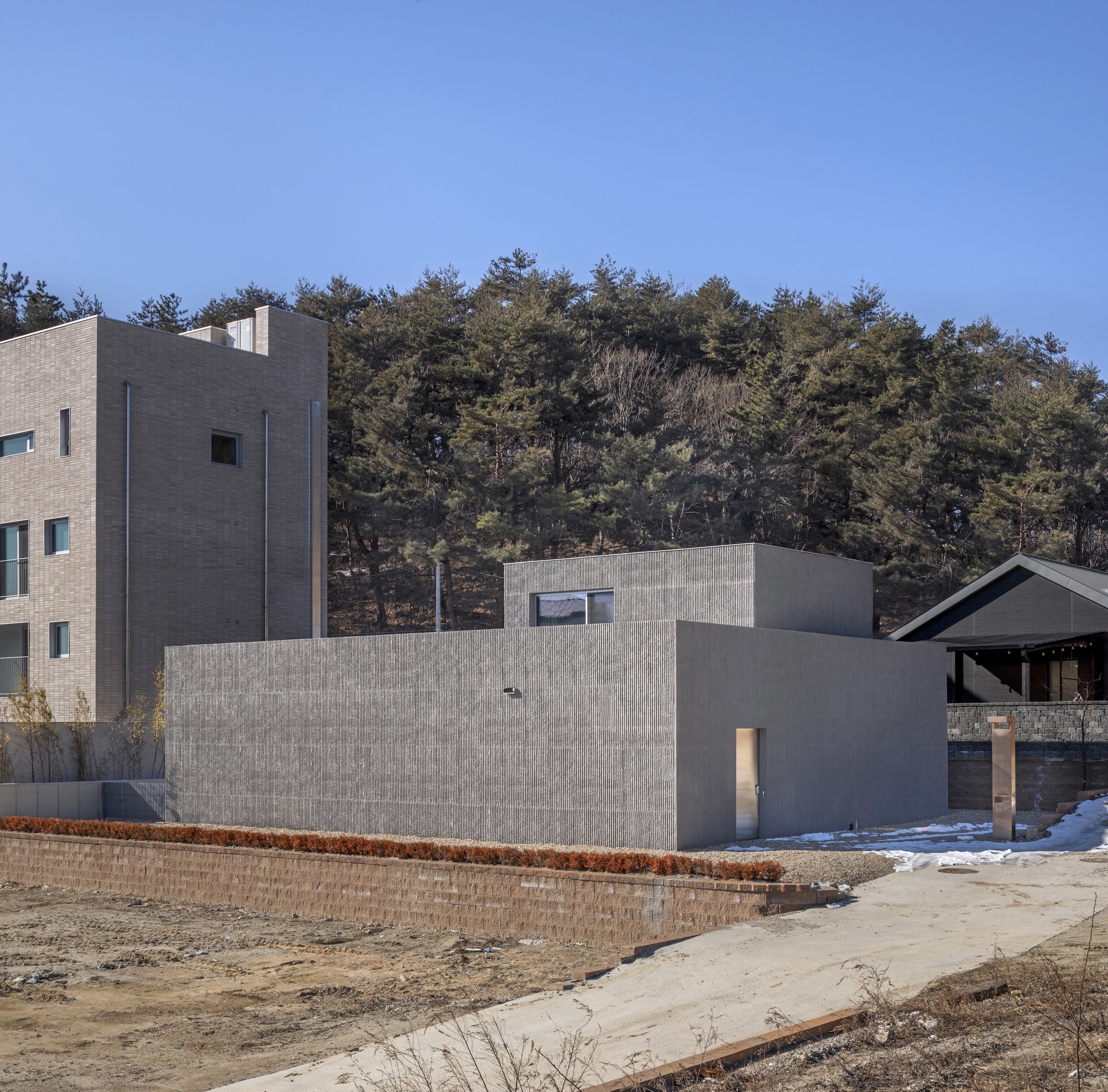 Concrete block volumes with board-formed wall against a forested hillside in late winter light