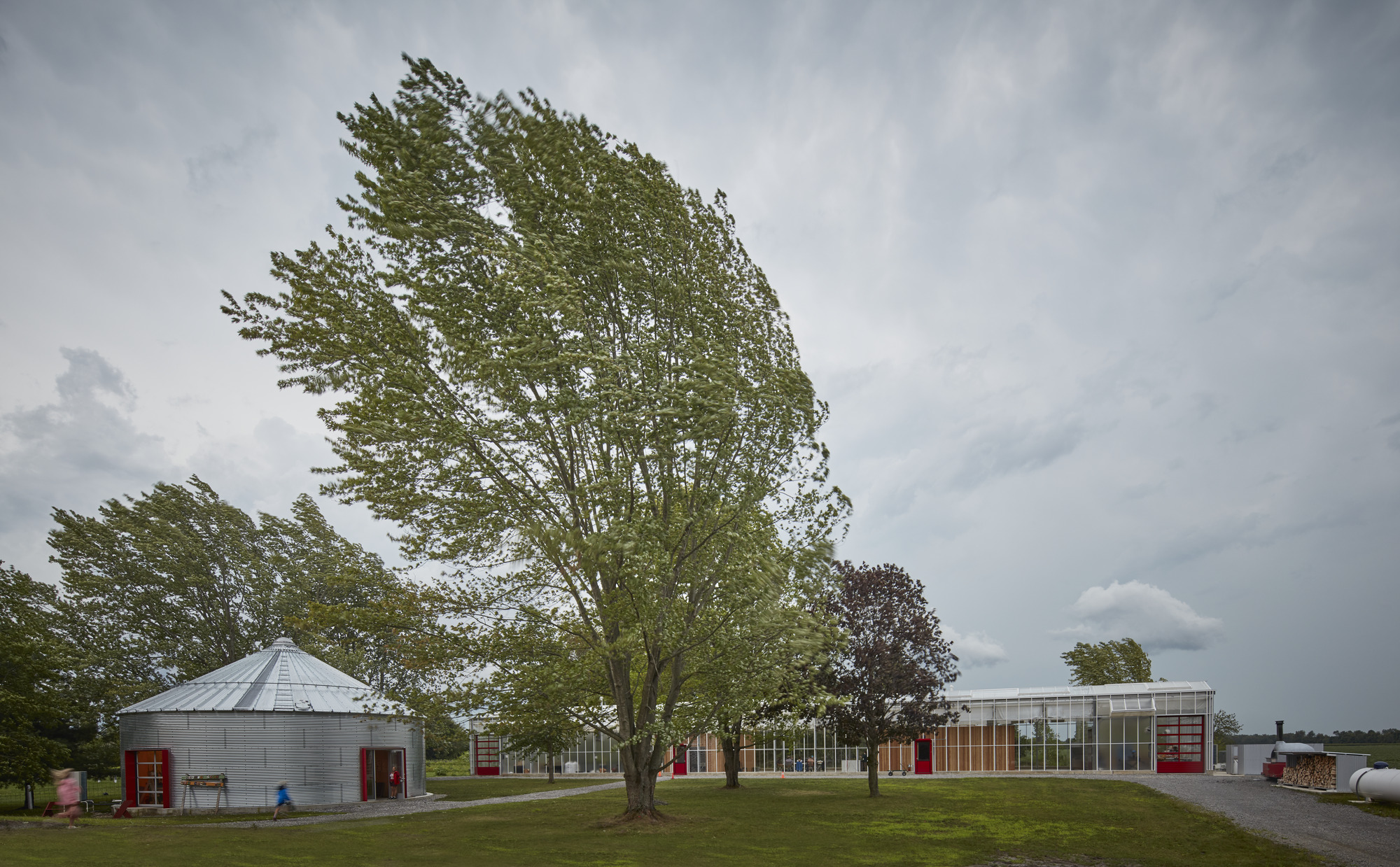 Campus of converted silo and greenhouse buildings beneath windswept trees and stormy afternoon clouds