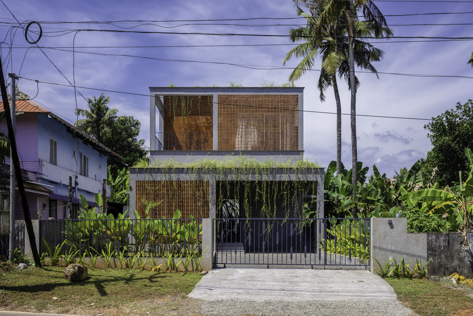 Street facade with woven bamboo screens and rooftop garden beneath palm trees and overhead power lines