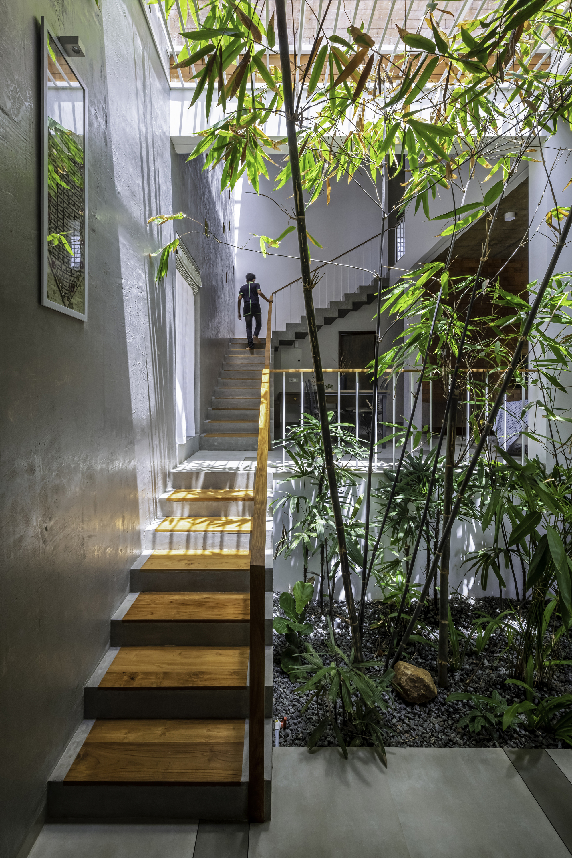 Concrete staircase with timber treads ascending past a bamboo grove in an interior courtyard garden
