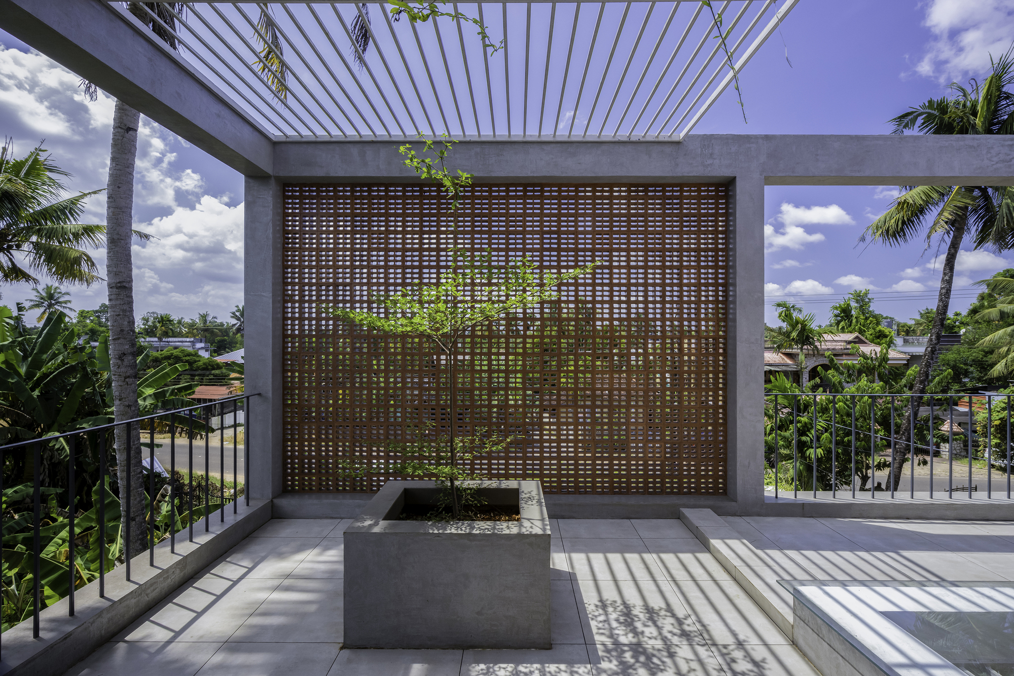 Rooftop terrace with woven timber screen wall and planted bed under a slatted overhead pergola