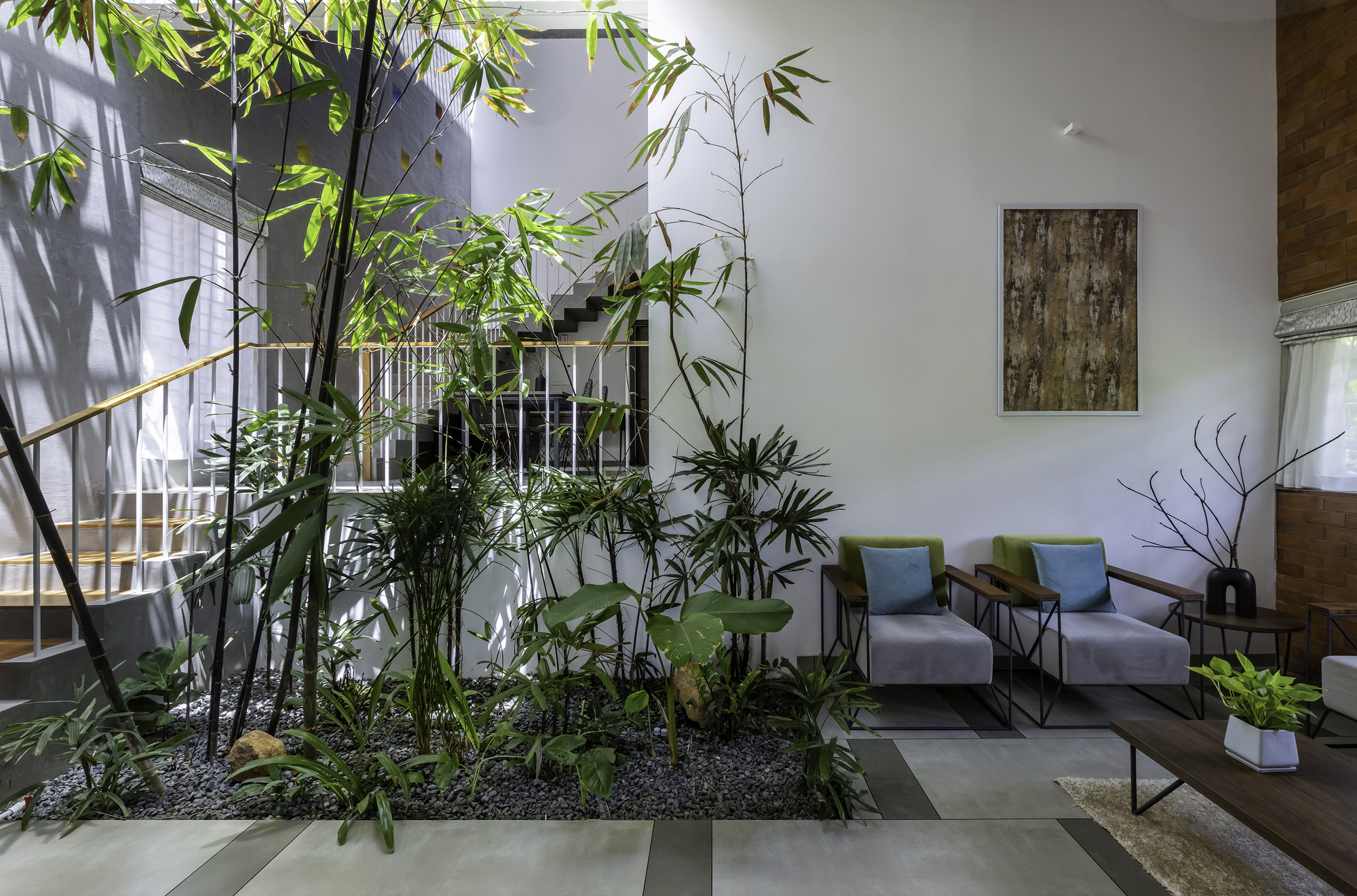 Living area with interior planted bed of bamboo and grasses beside a seating arrangement