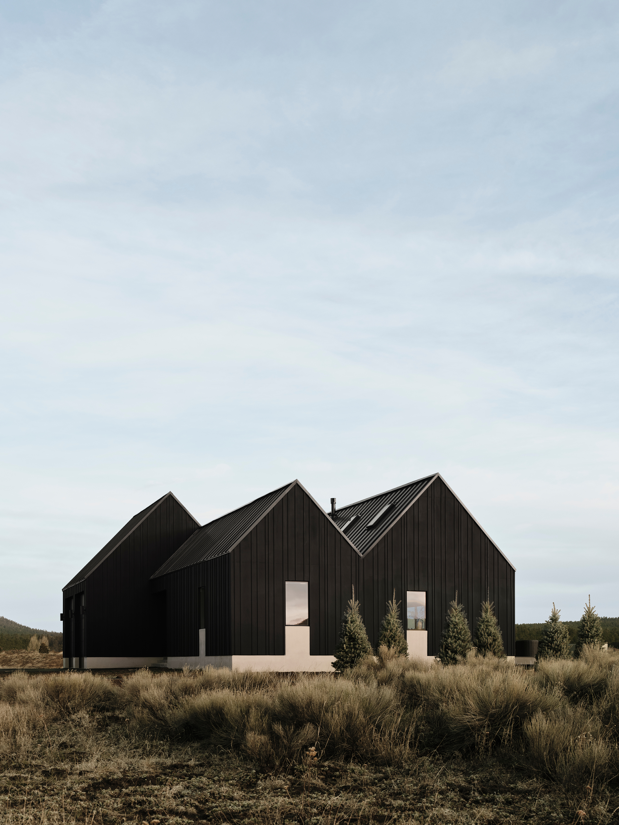 Three clustered gabled volumes with vertical black siding and young evergreens in sagebrush field