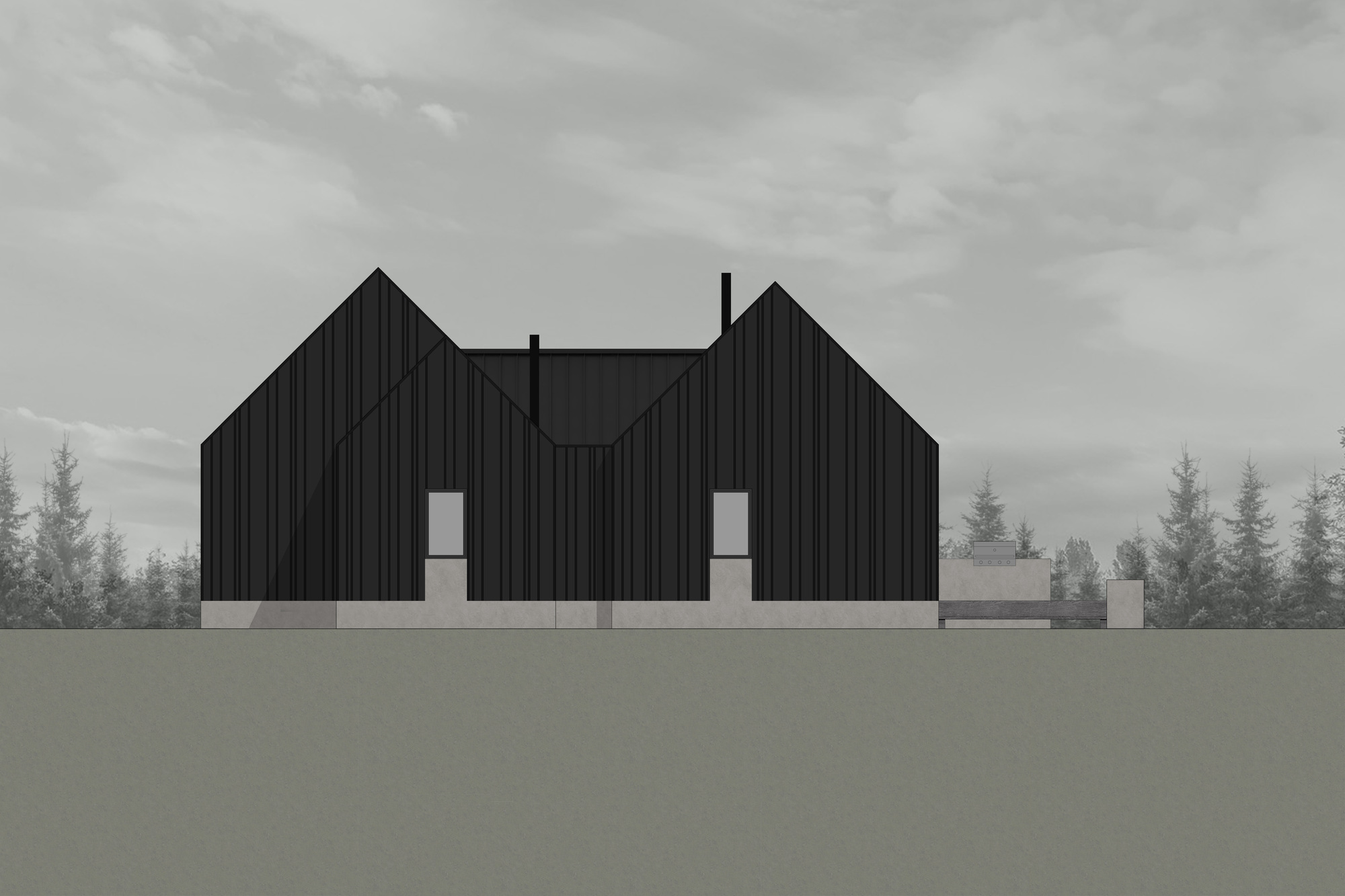 Elevation drawing showing twin gabled volumes clad in vertical panels under an overcast sky