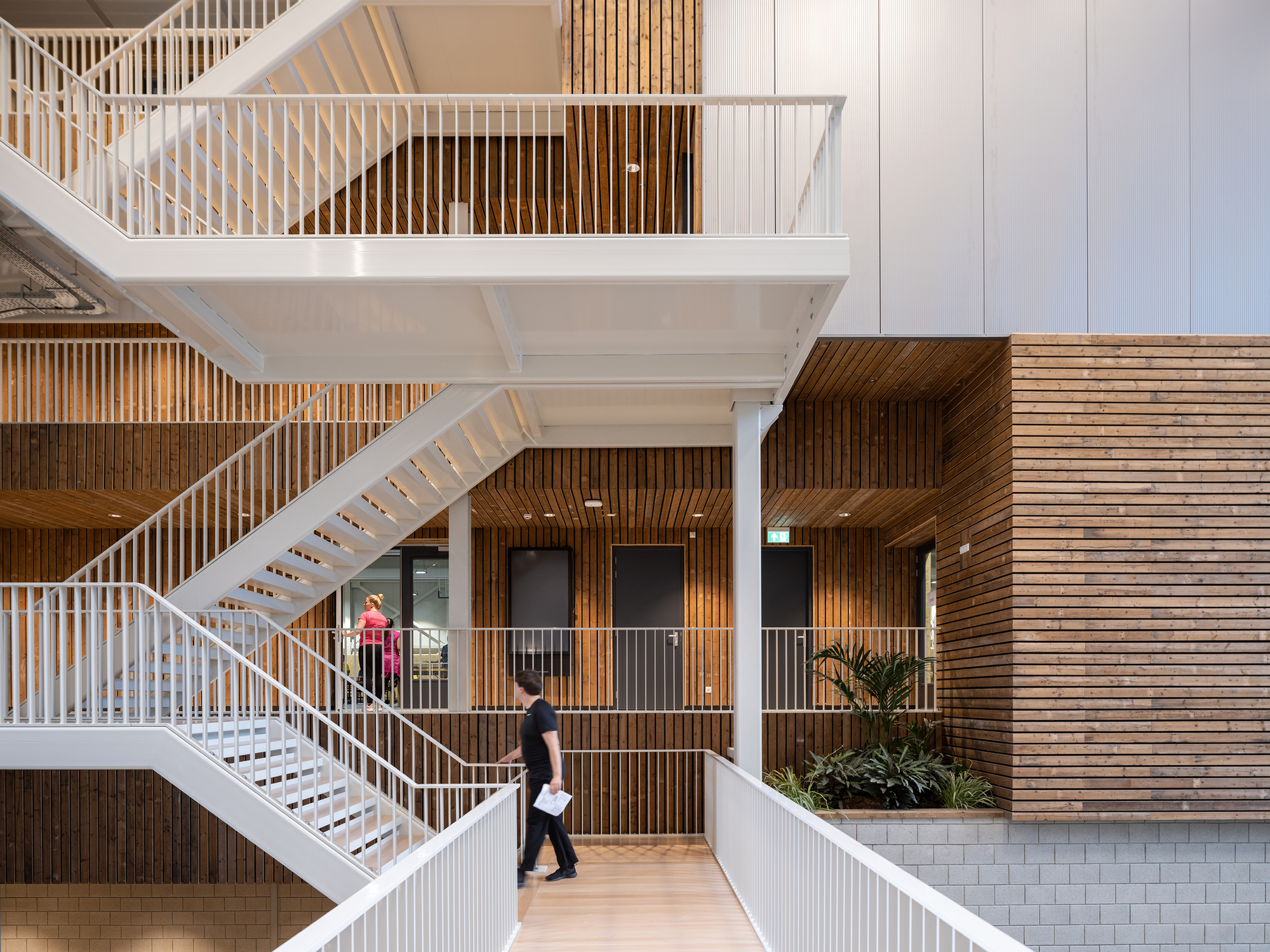 White steel stairs with timber slat balustrades and horizontal wood cladding wrapping the upper level