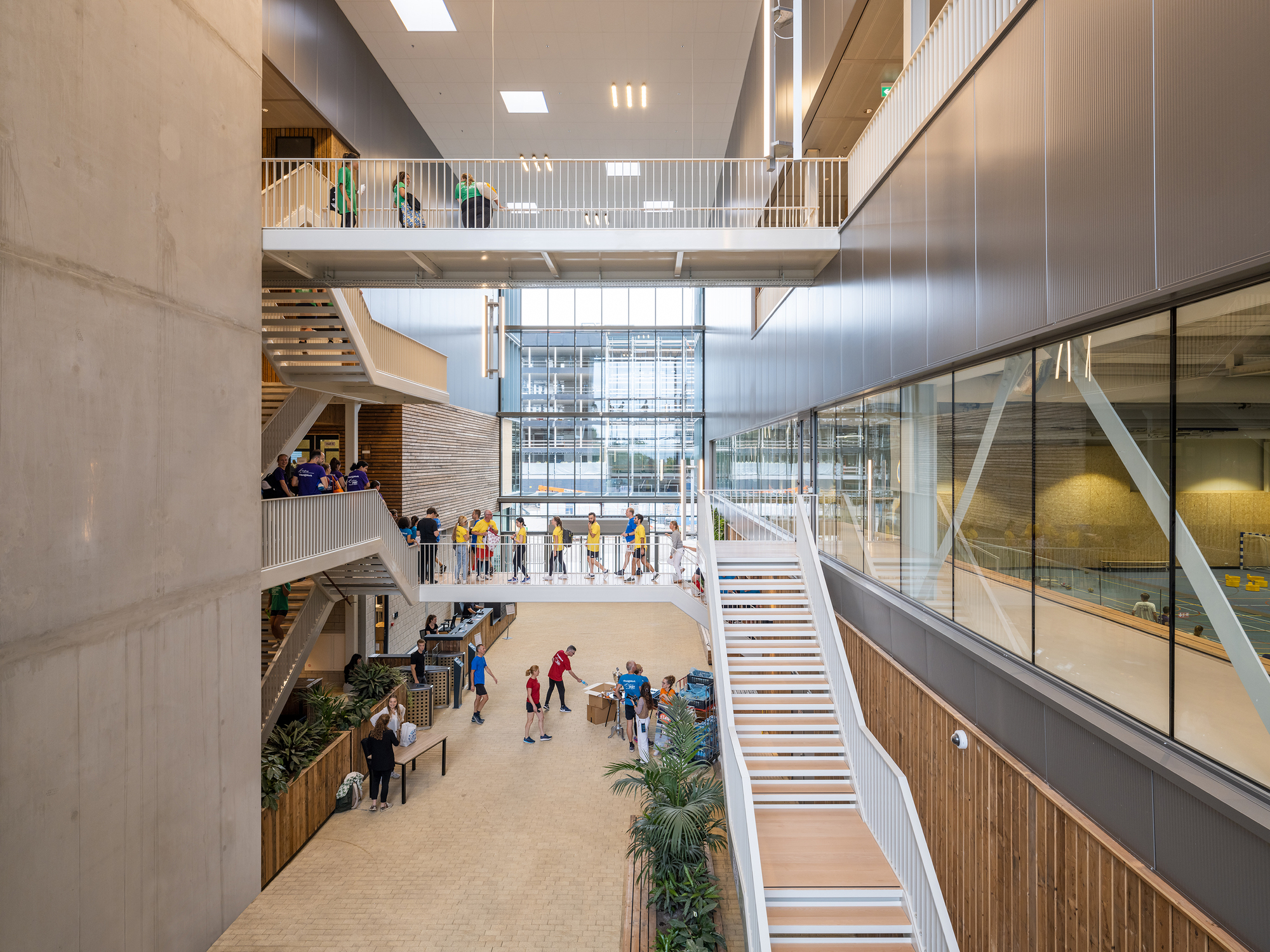 Multi-story atrium with curved timber stairs, planted seating, and glass bridge linking upper floors