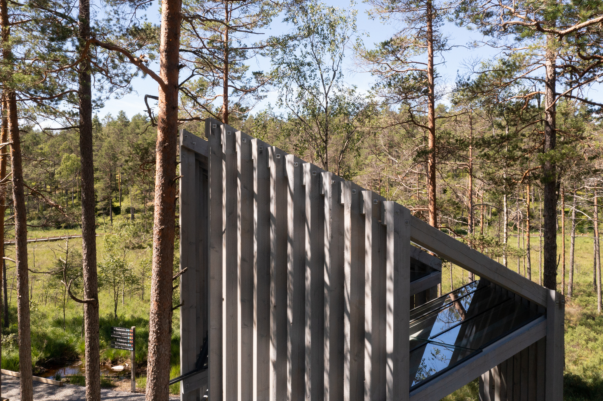 Angled facade of vertical timber slats with triangular glazed opening amid forest clearing
