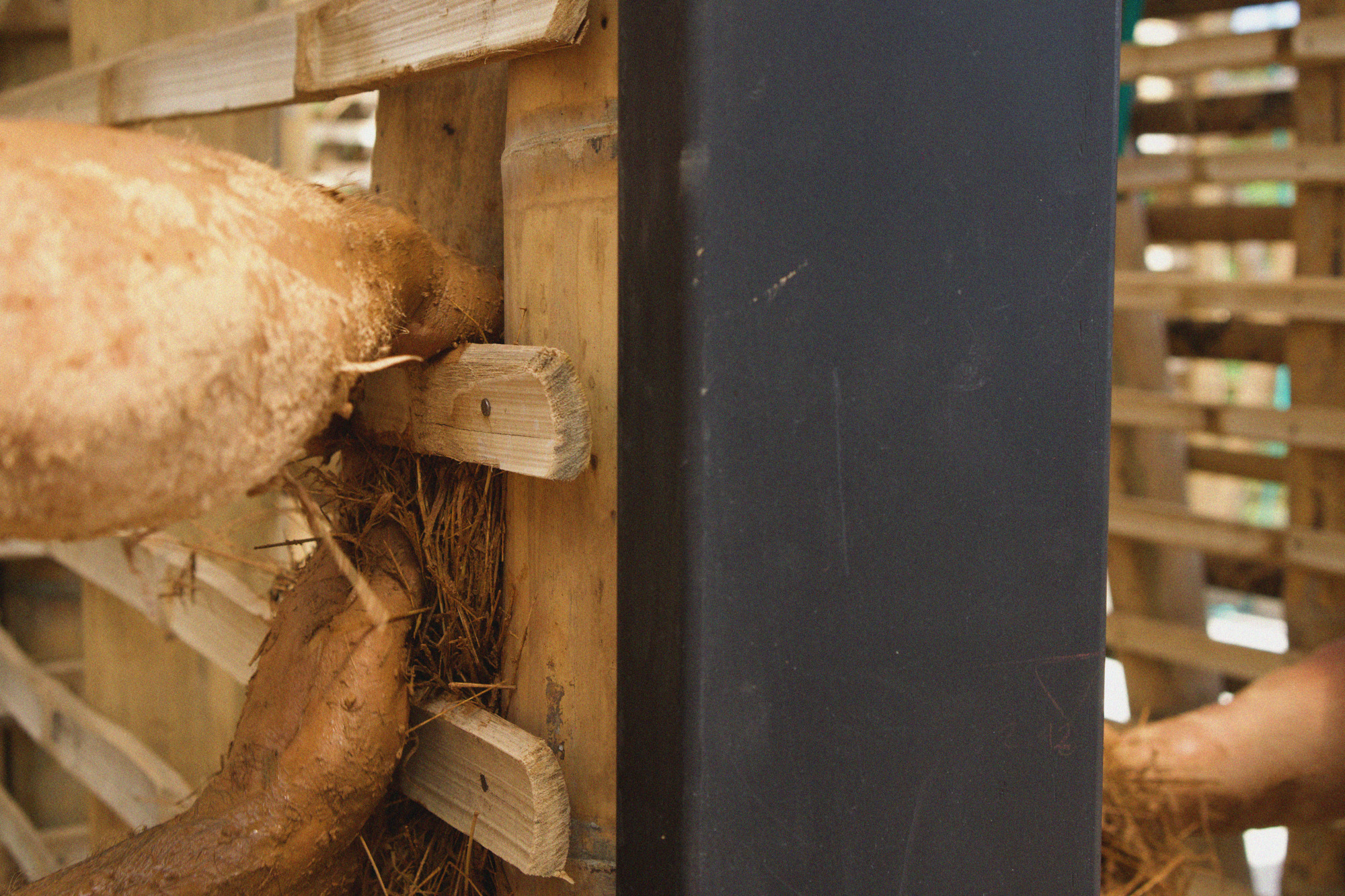 Detail of timber post and steel column junction with wood dowels and bark insulation visible