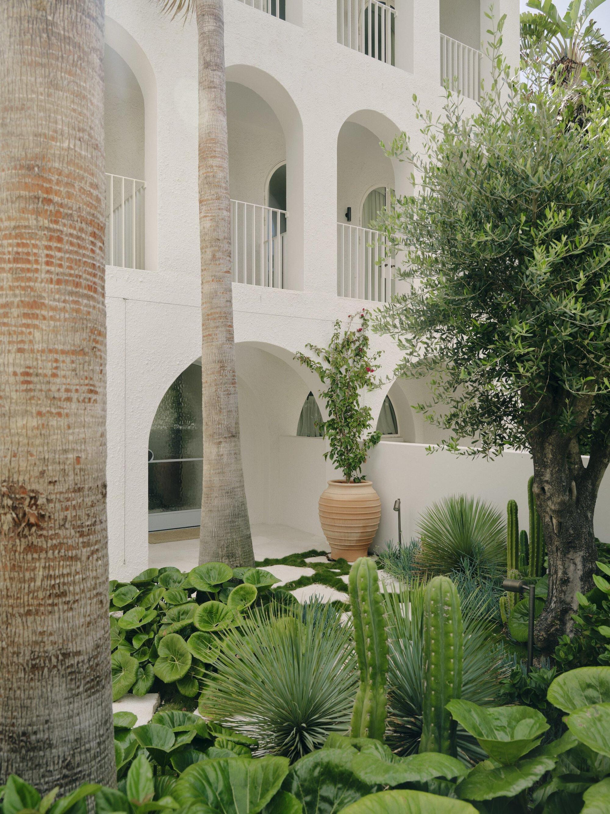 Planted courtyard with palms, cacti and tropical foliage beneath the arcaded white facade