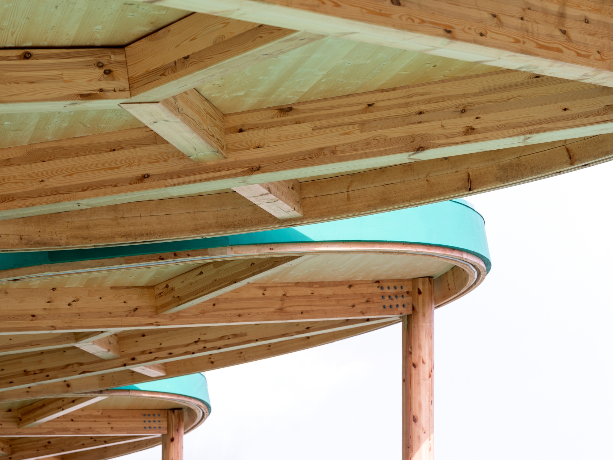 Underside of two circular timber canopies with exposed radial beams and teal fascia bands