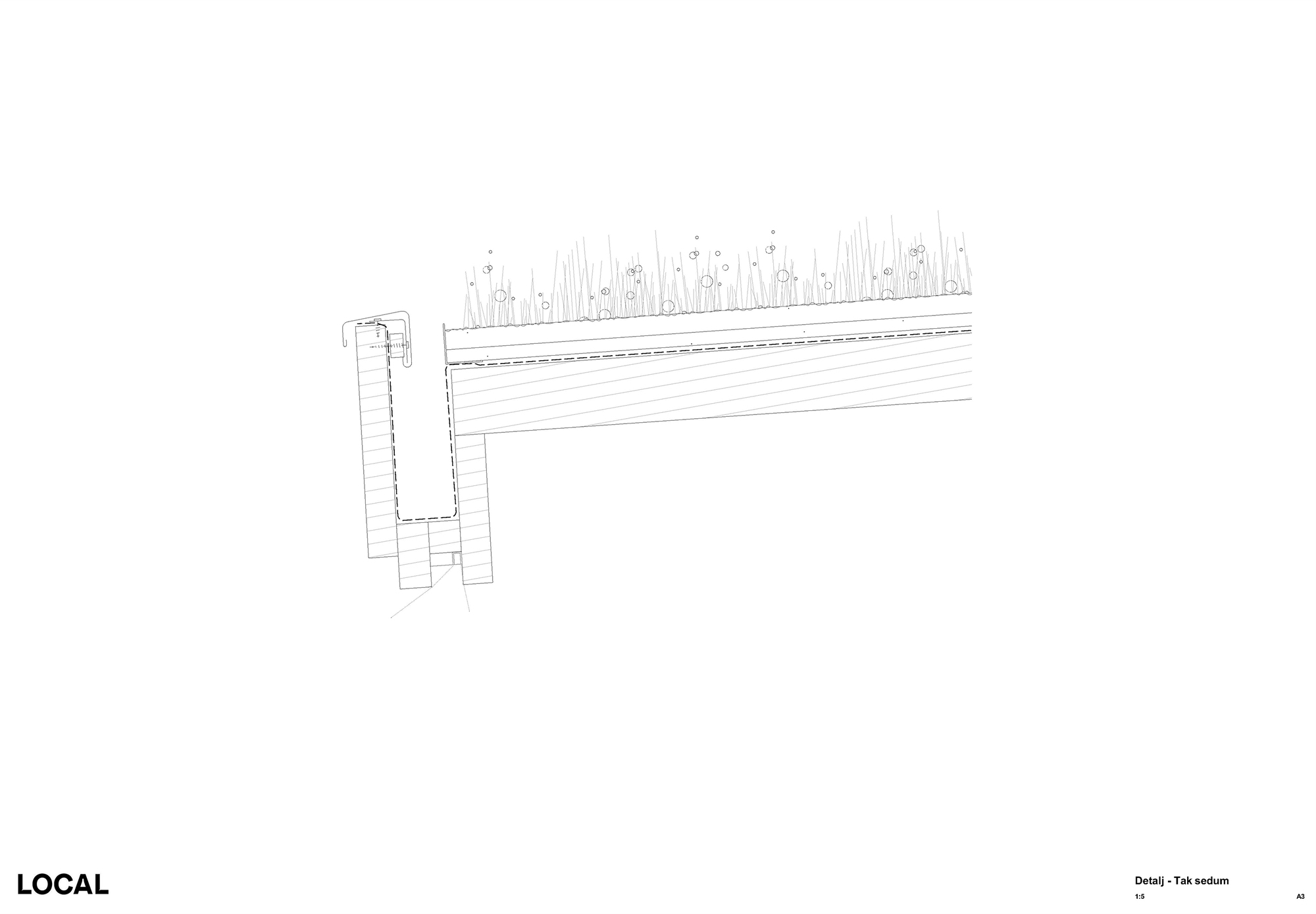 Detail section drawing of a masonry column supporting timber decking with planted sedum above