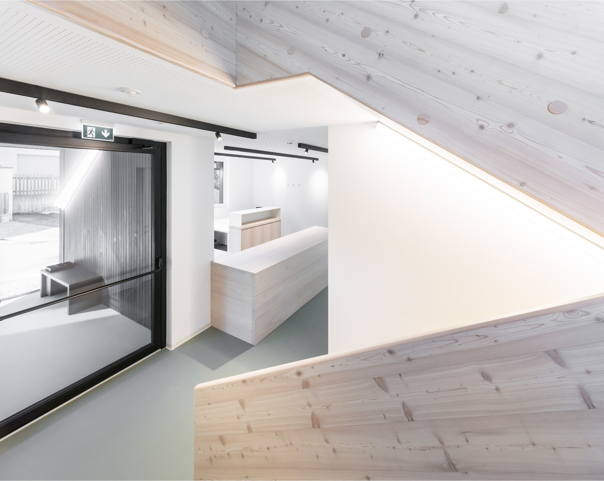 Reception area with light timber desk and perforated acoustic ceiling under exposed timber roof planks