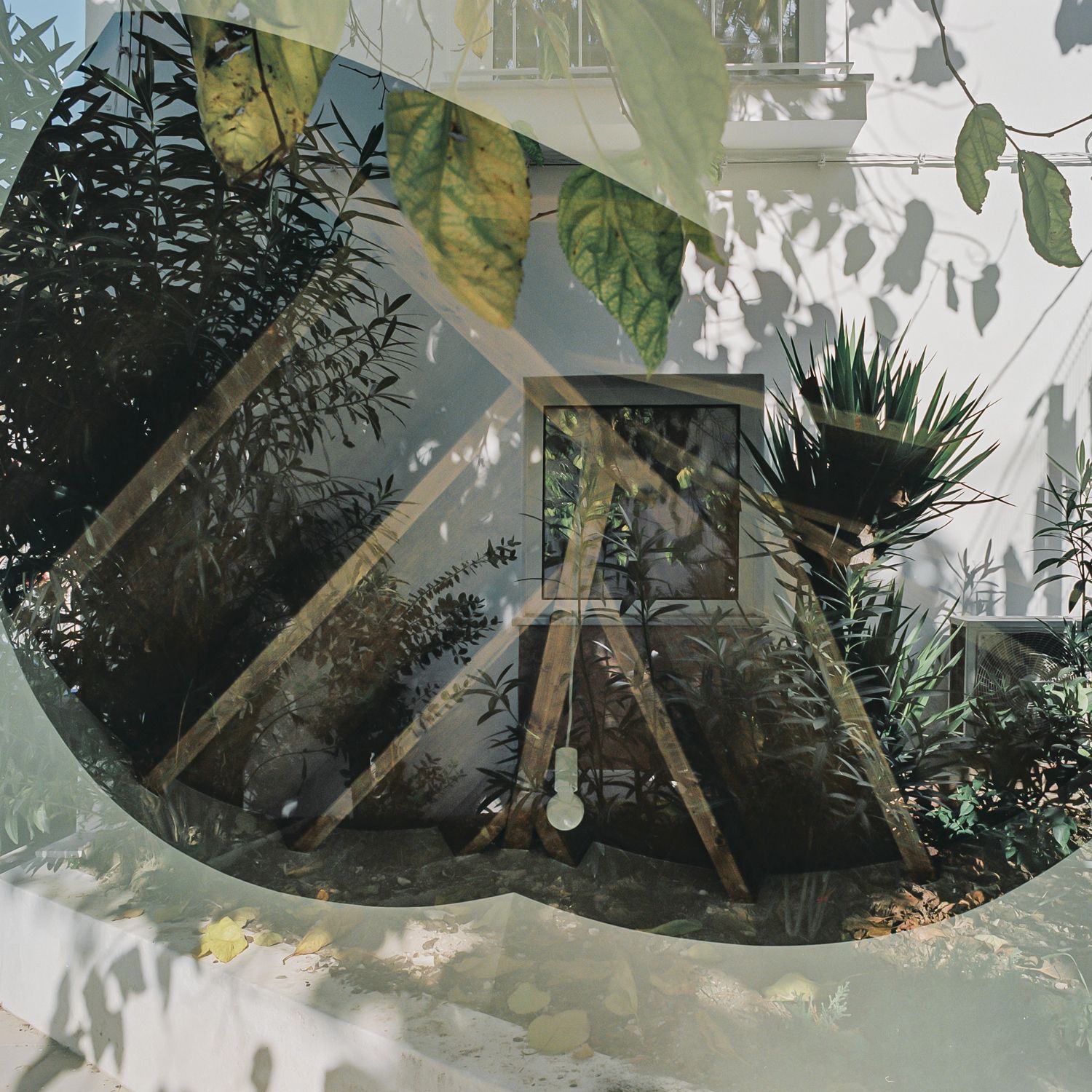 Interior courtyard view through dense foliage and hanging banana leaves with dappled sunlight