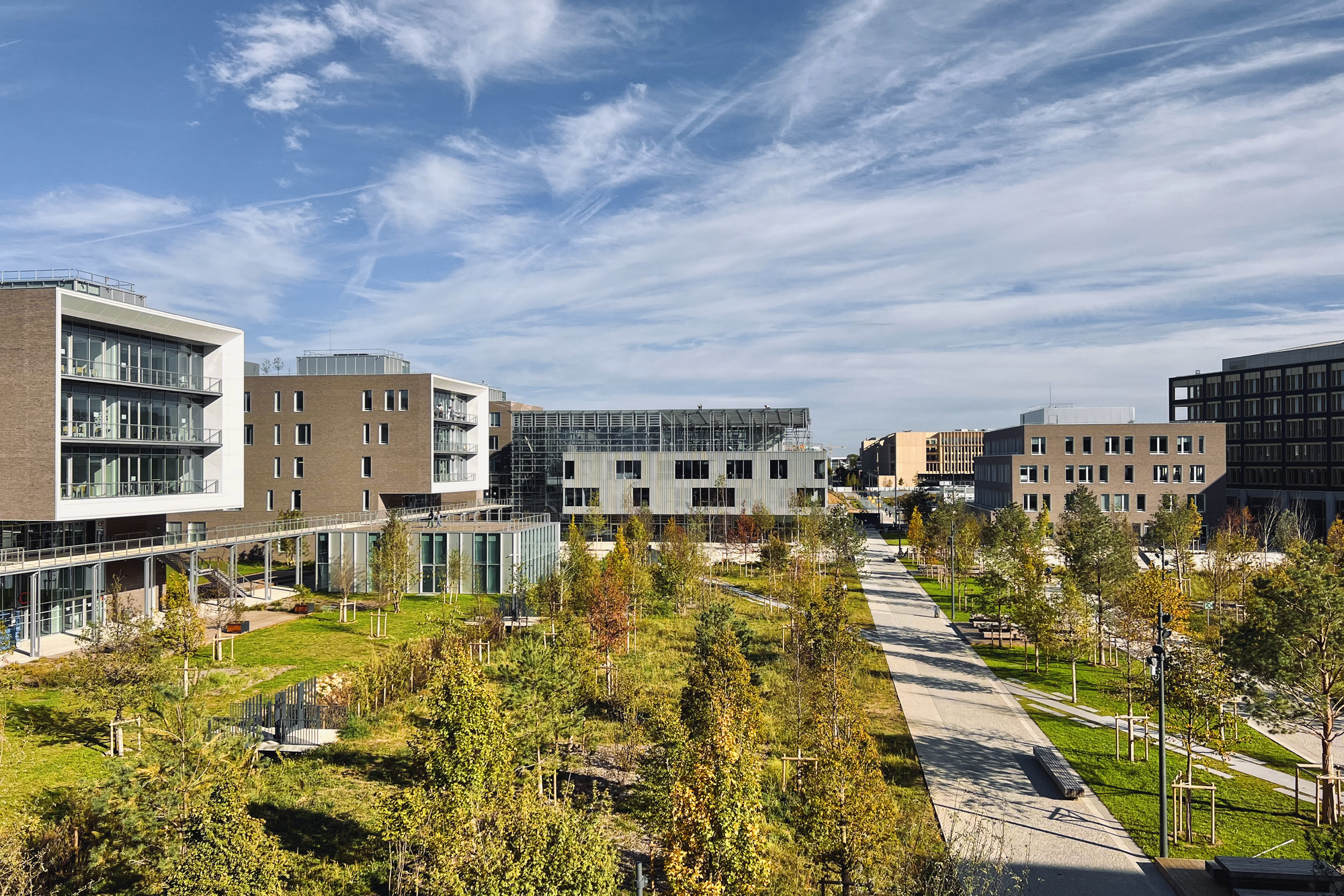 View across the landscaped roof terrace with linear pathways and young trees under wispy clouds