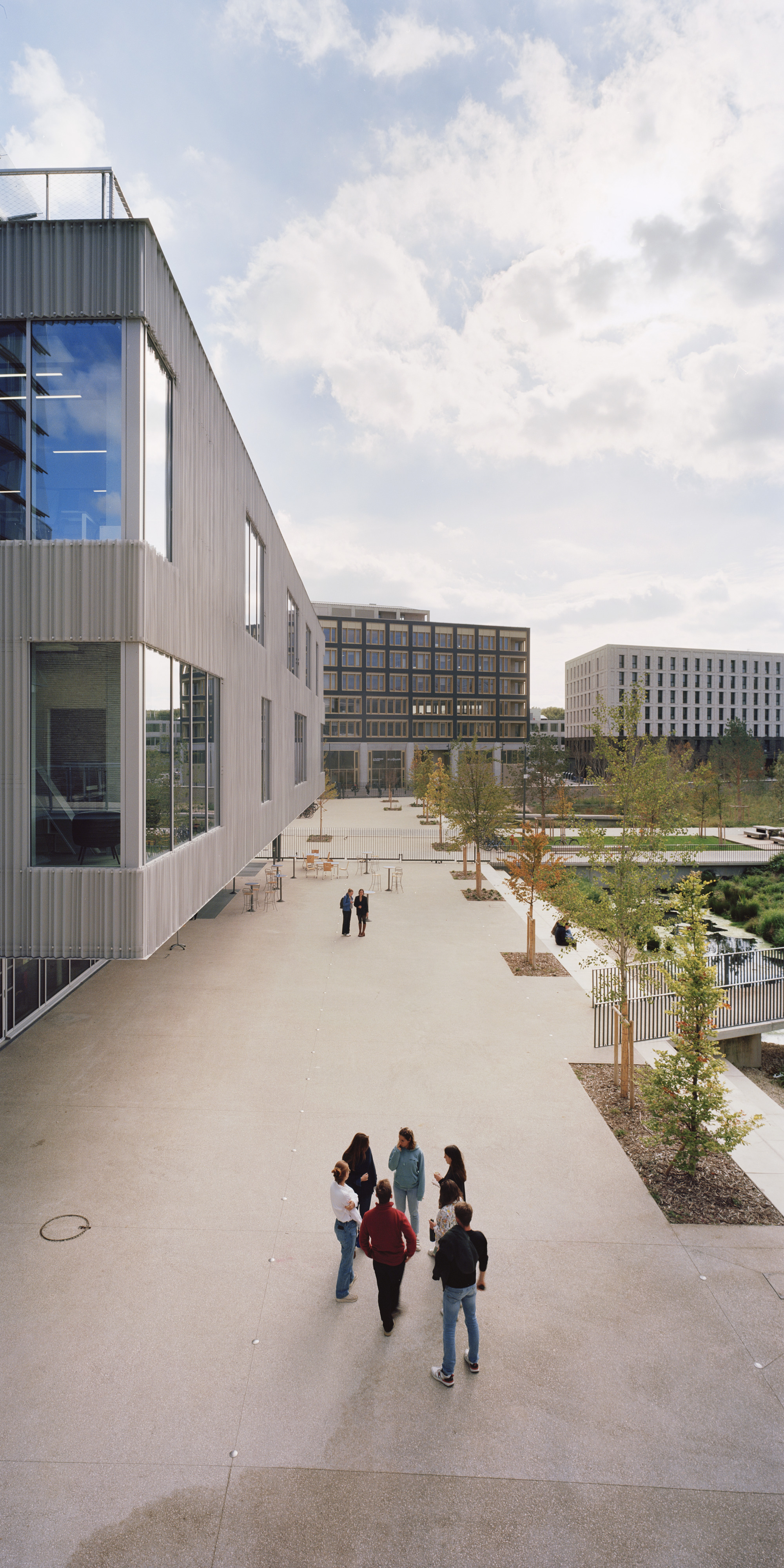 Courtyard walkway with groups of people gathered near young trees and planted beds