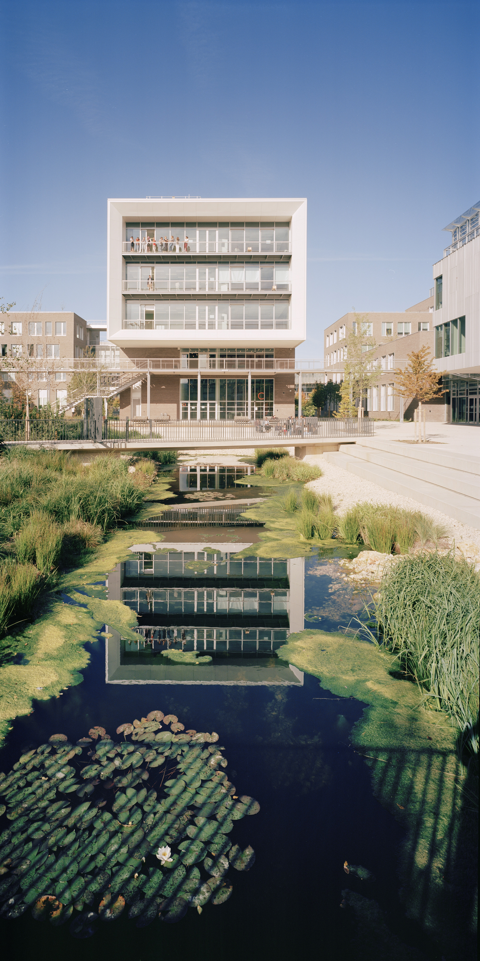 White vertical facade reflected in a pond with lily pads and native grasses
