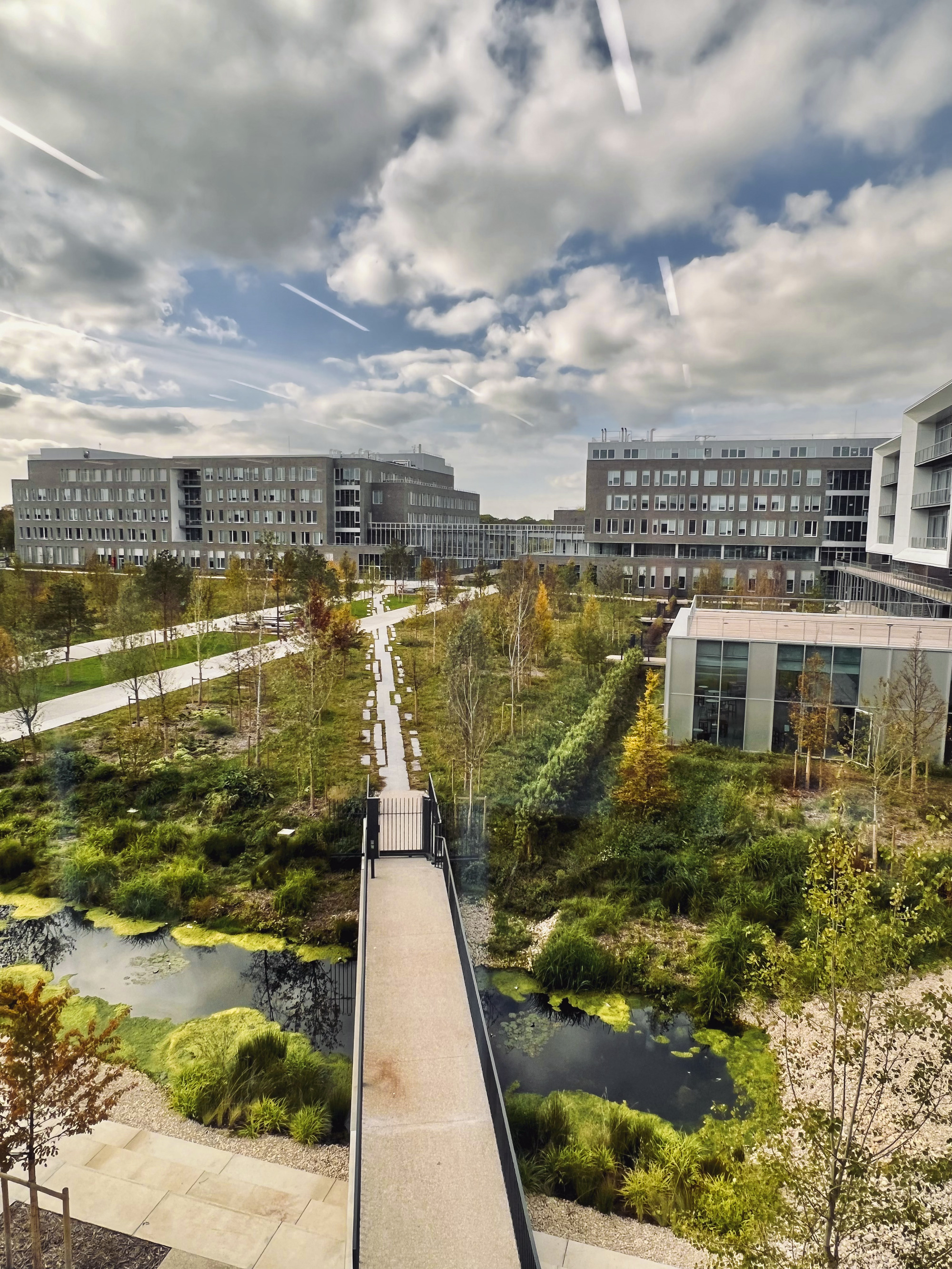 Pedestrian bridge crossing wetland plantings toward glass and metal residential blocks under cloudy skies