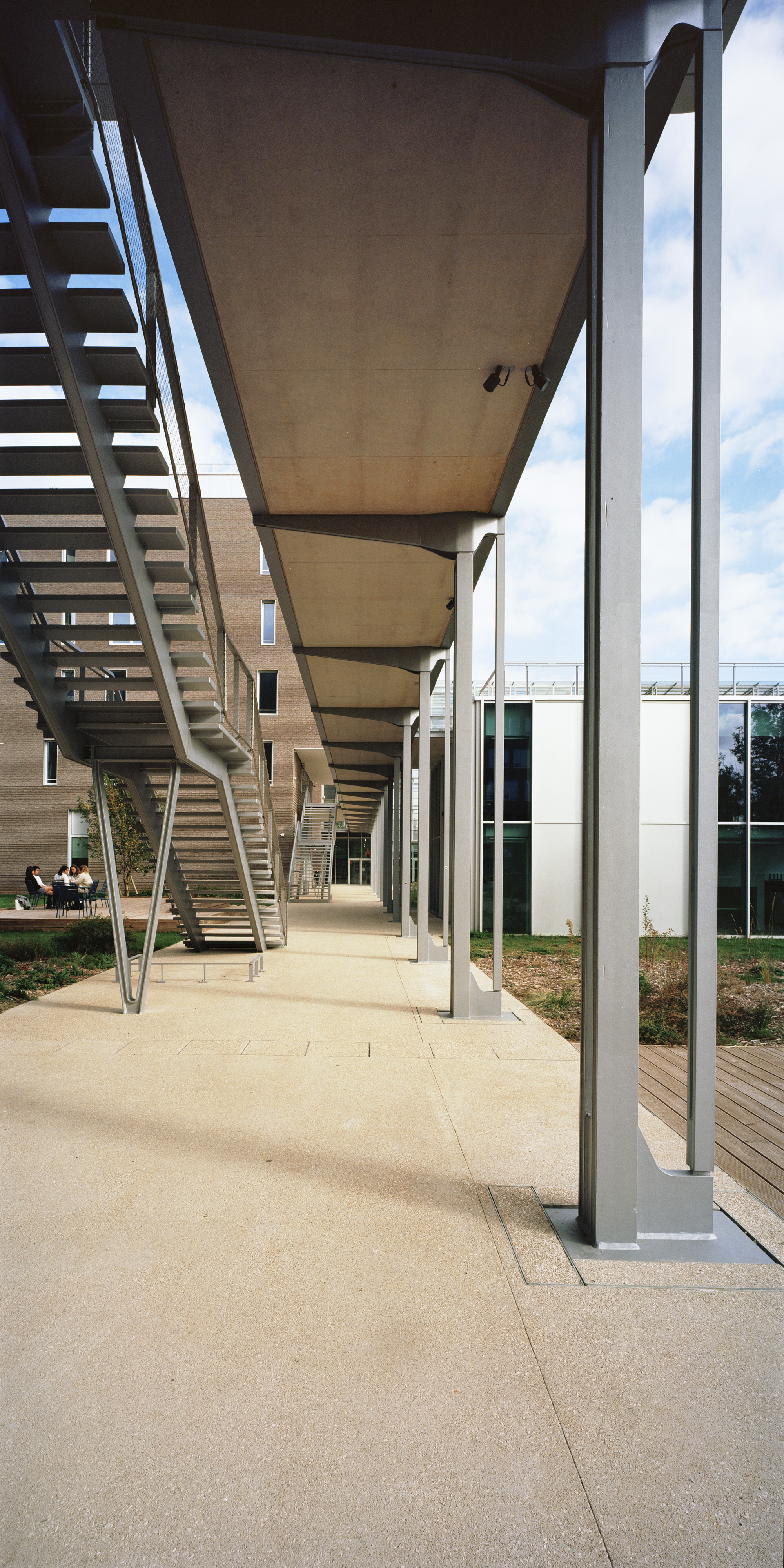 Covered walkway with timber-lined soffit, steel columns and an open staircase in afternoon light