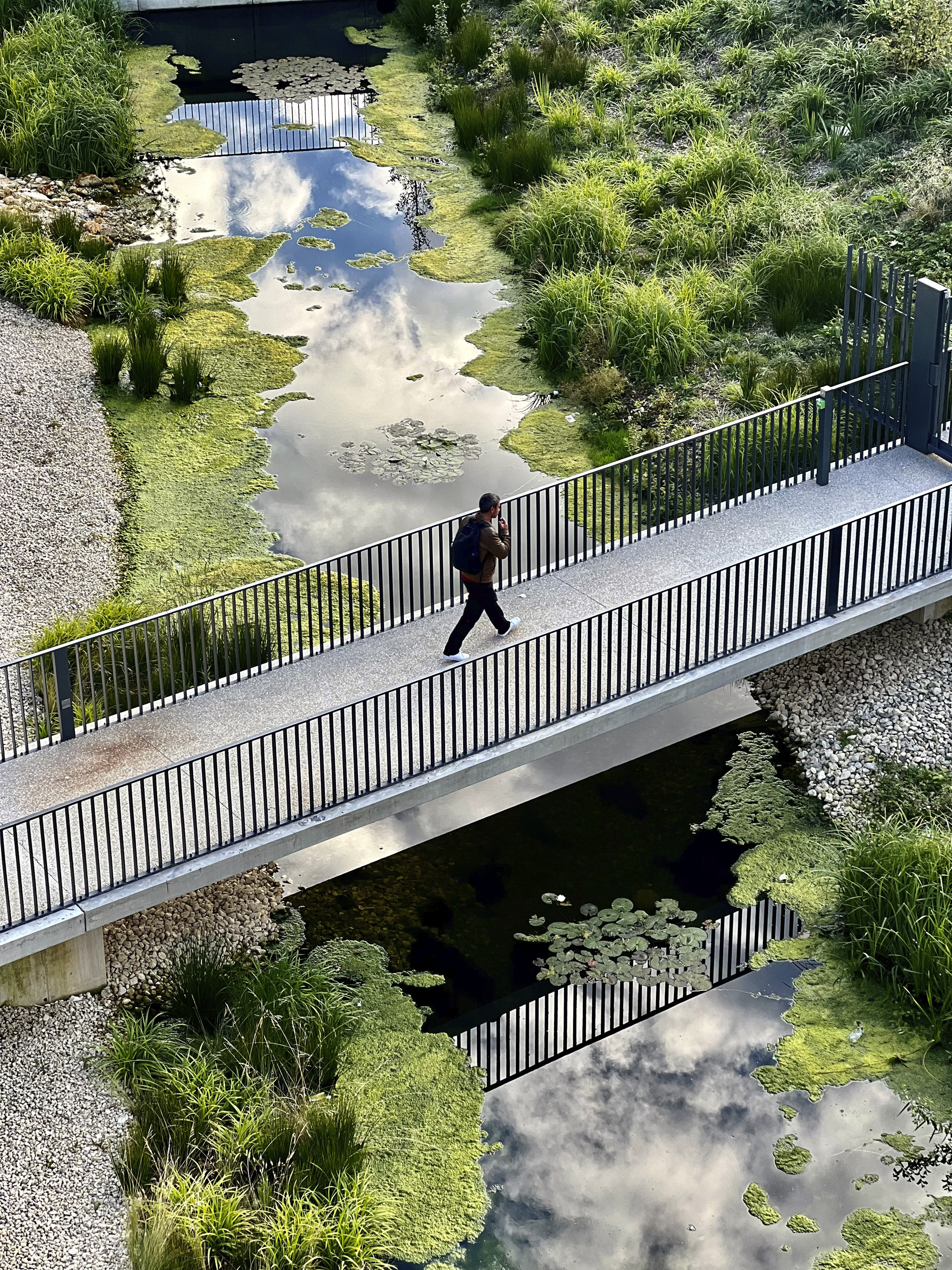 Pedestrian bridge with vertical metal railings crossing a naturalized stormwater pond with a person walking