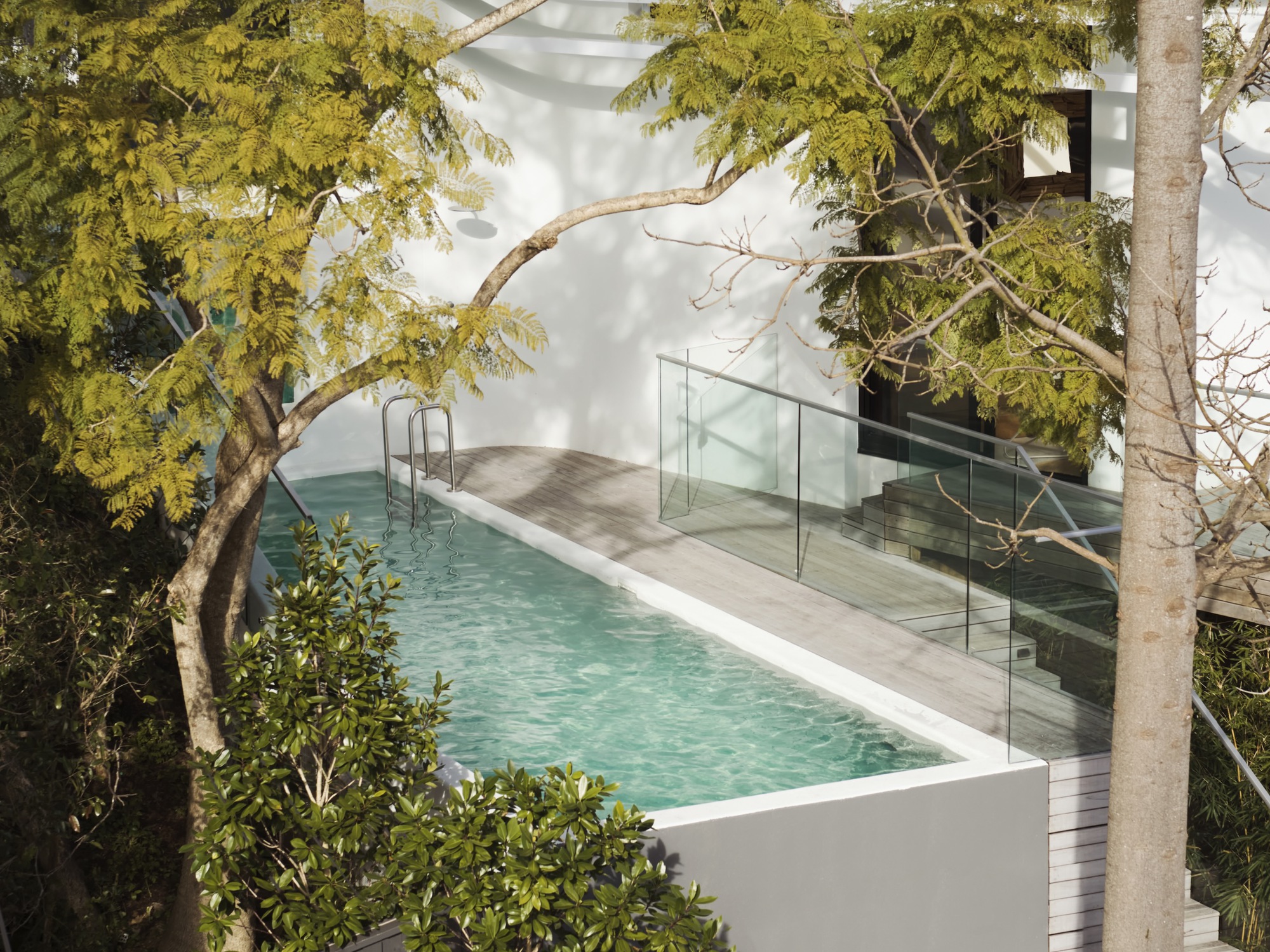 Elevated pool terrace with glass balustrade and timber deck framed by mature trees