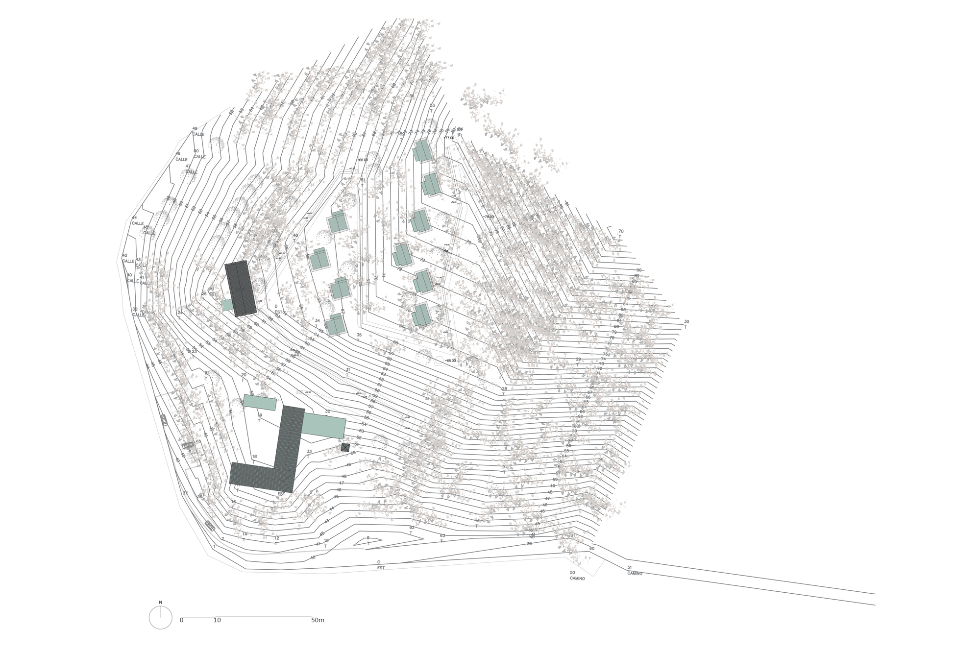 Topographic site plan showing contour lines and two building footprints on sloped terrain