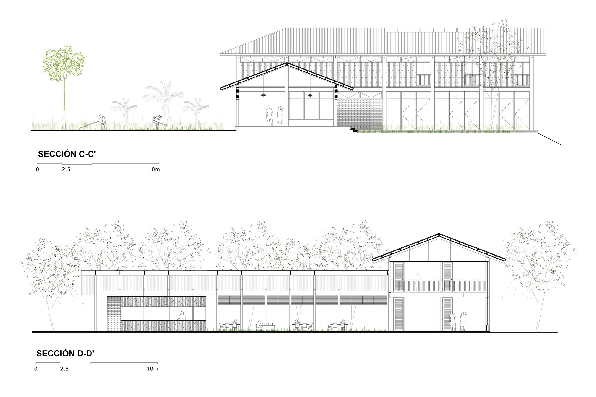 Section drawings revealing varied roof heights and open floor levels with surrounding vegetation
