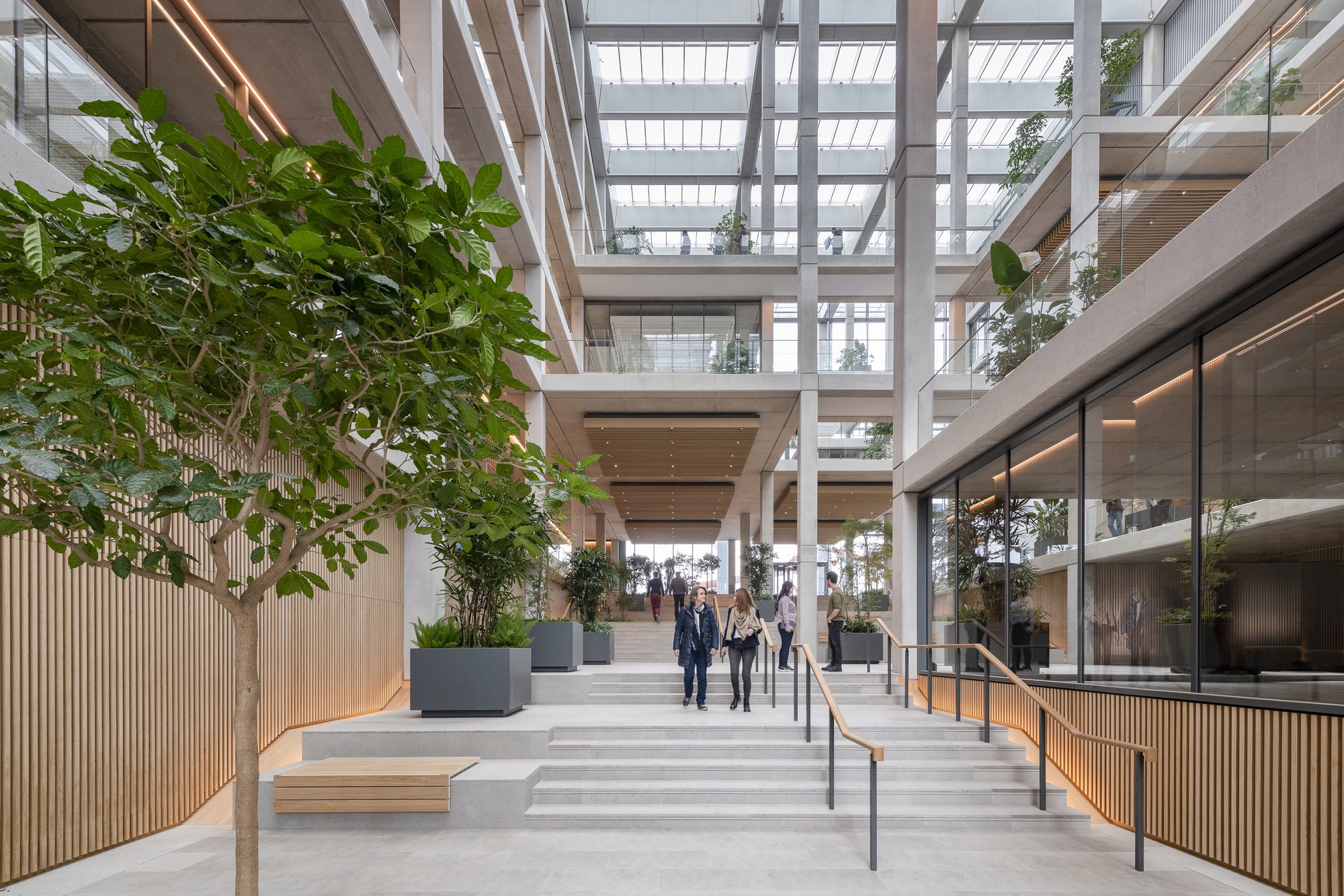 Interior stairway with timber benches and planted trees beneath a glass-roofed atrium with people ascending