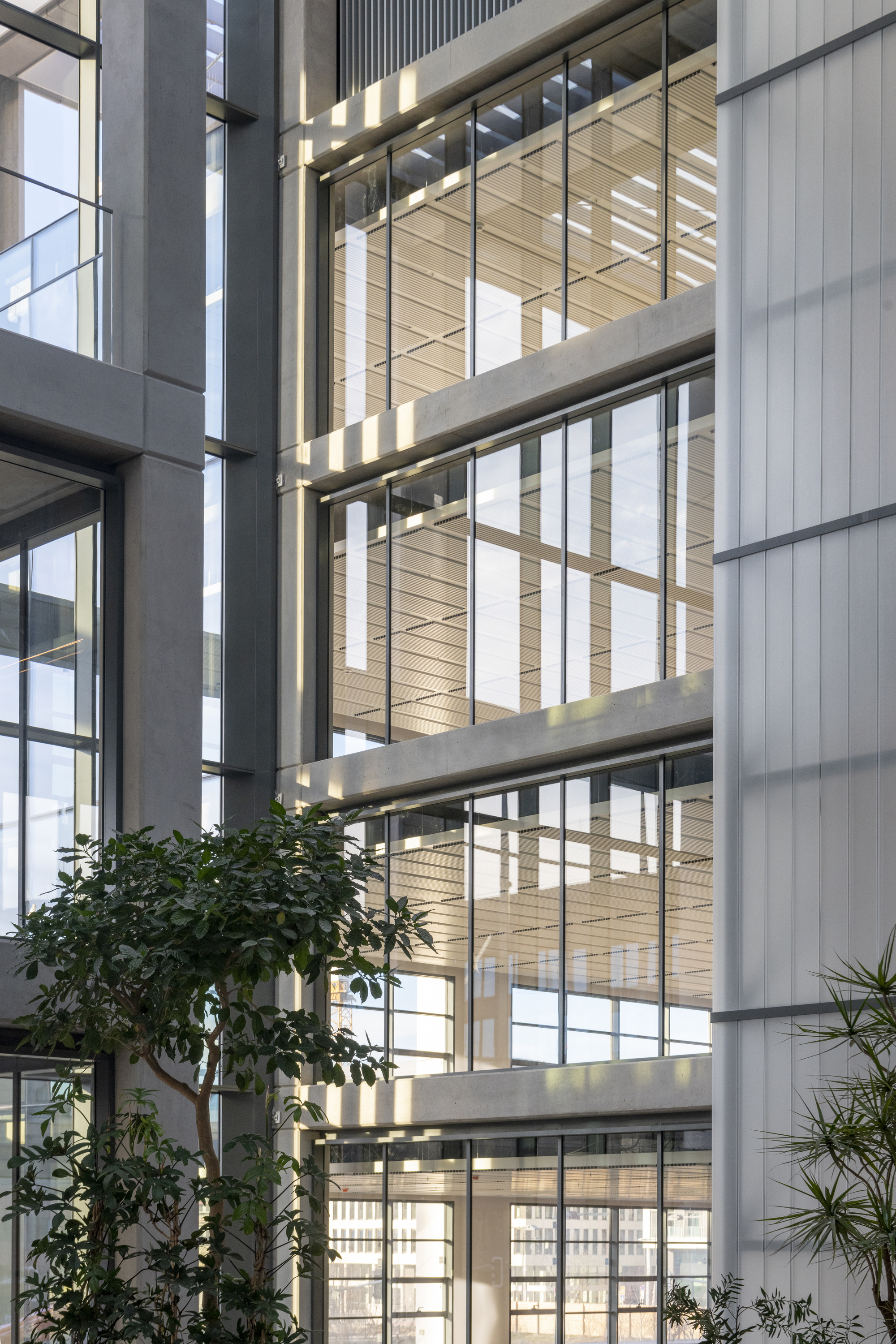 Interior atrium with concrete slabs framing a timber-clad stairwell and potted trees below