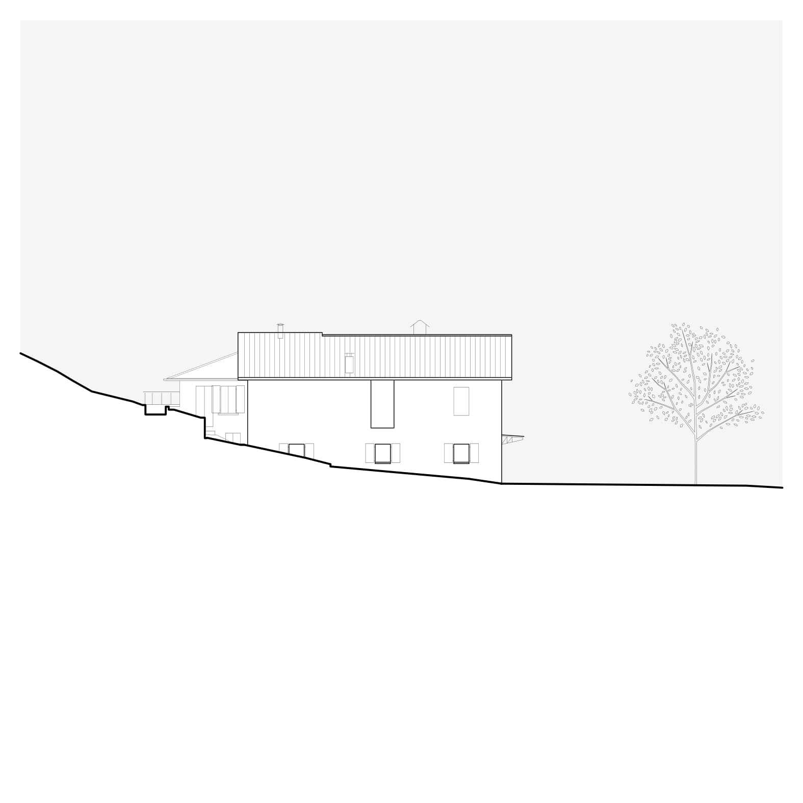 Section drawing depicting the building on sloping terrain with vertical roof chimneys and adjacent tree