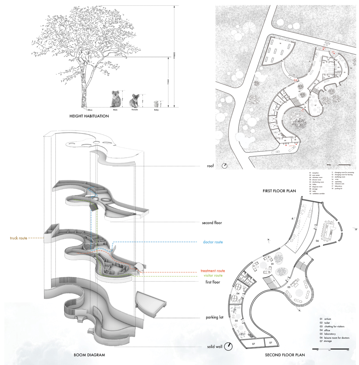 Conceptual diagrams illustrating circulation, habitat integration, and the relationship between humans, koalas, and nature.