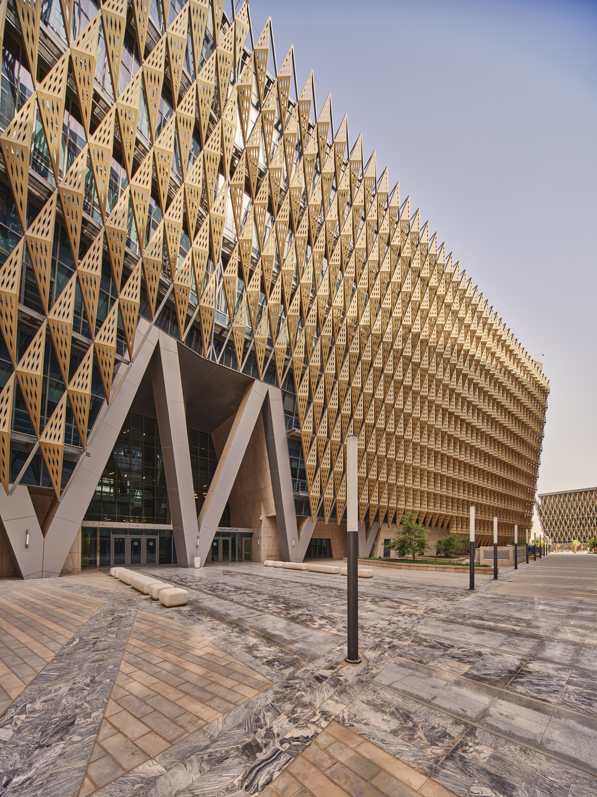 Entry facade with branching concrete columns beneath the layered timber lattice screen at dusk