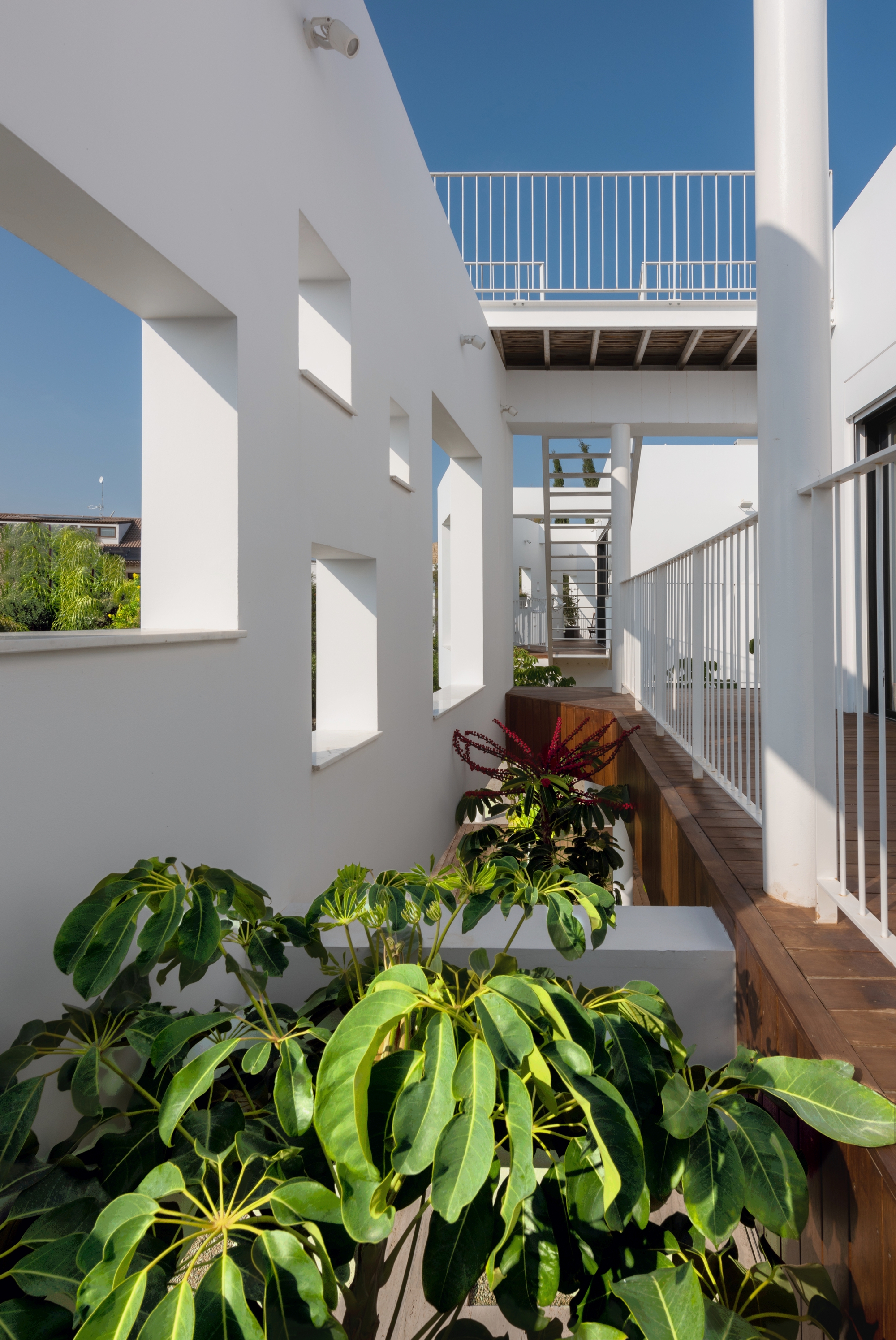 Upper-level terrace with white walls, timber bench seating and planters filled with tropical foliage in bright sun