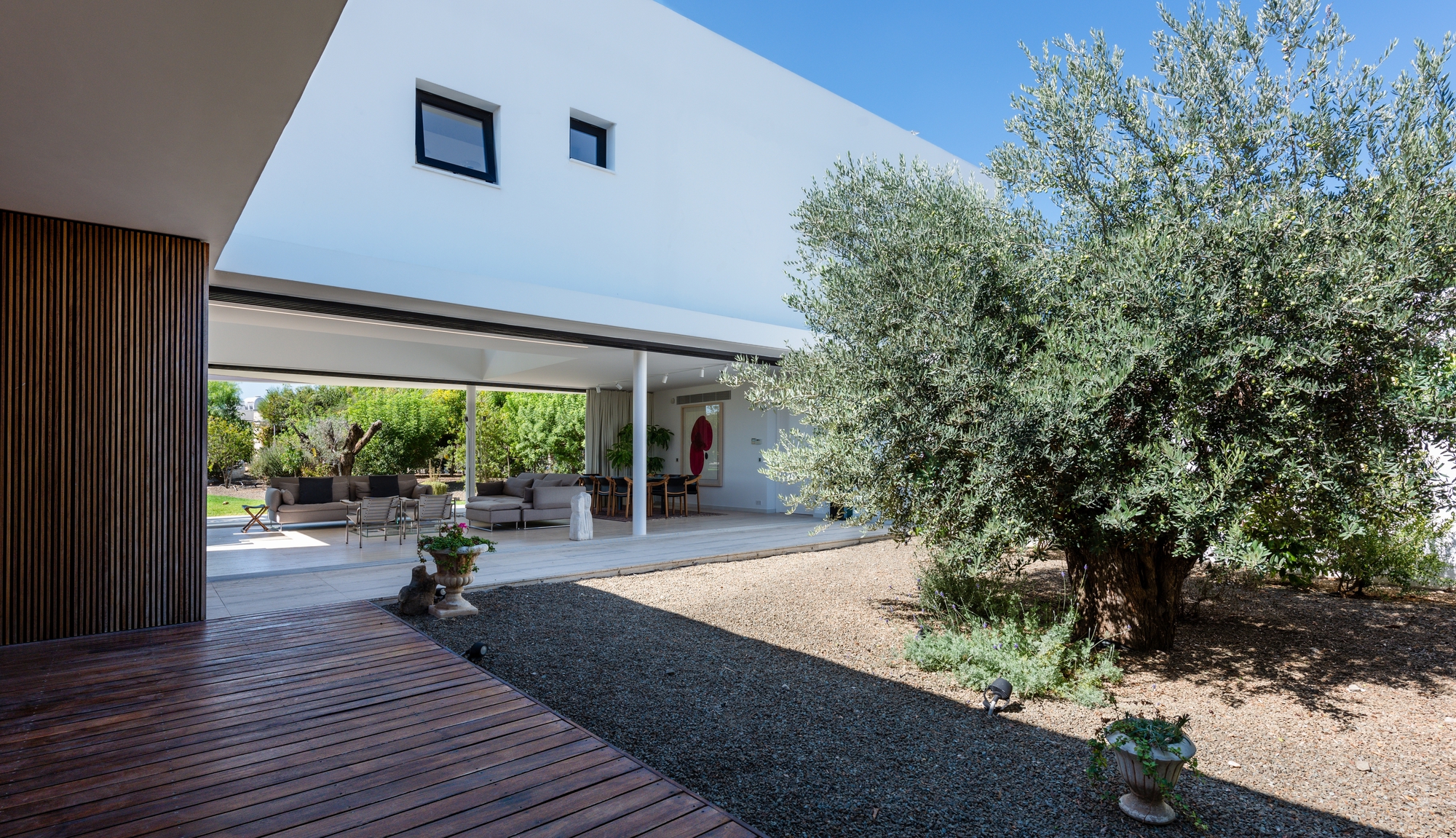 Courtyard with gravel path between timber-clad wall and mature olive tree beneath cantilevered upper floor