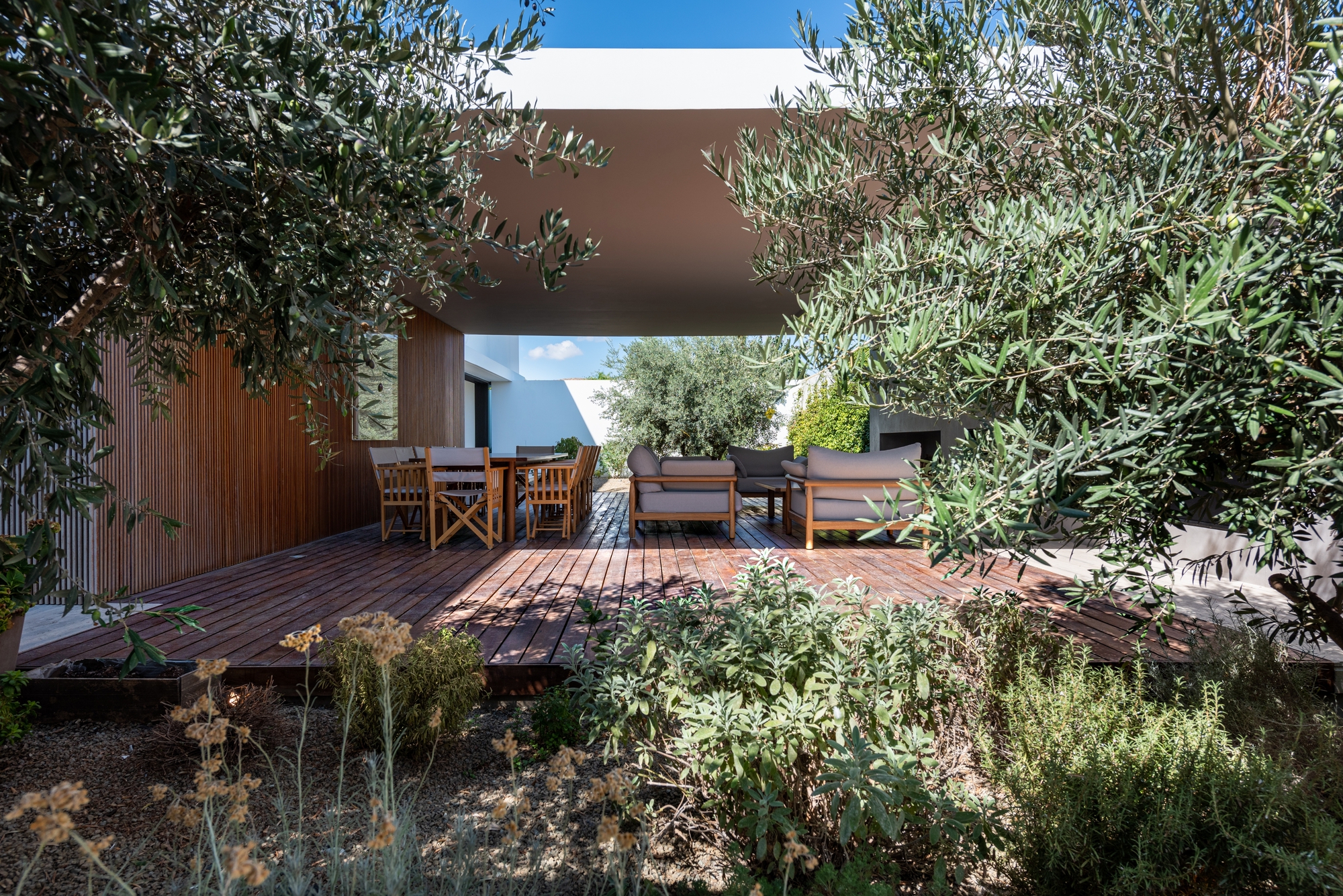 Timber deck terrace surrounded by olive trees and planted beds under blue sky
