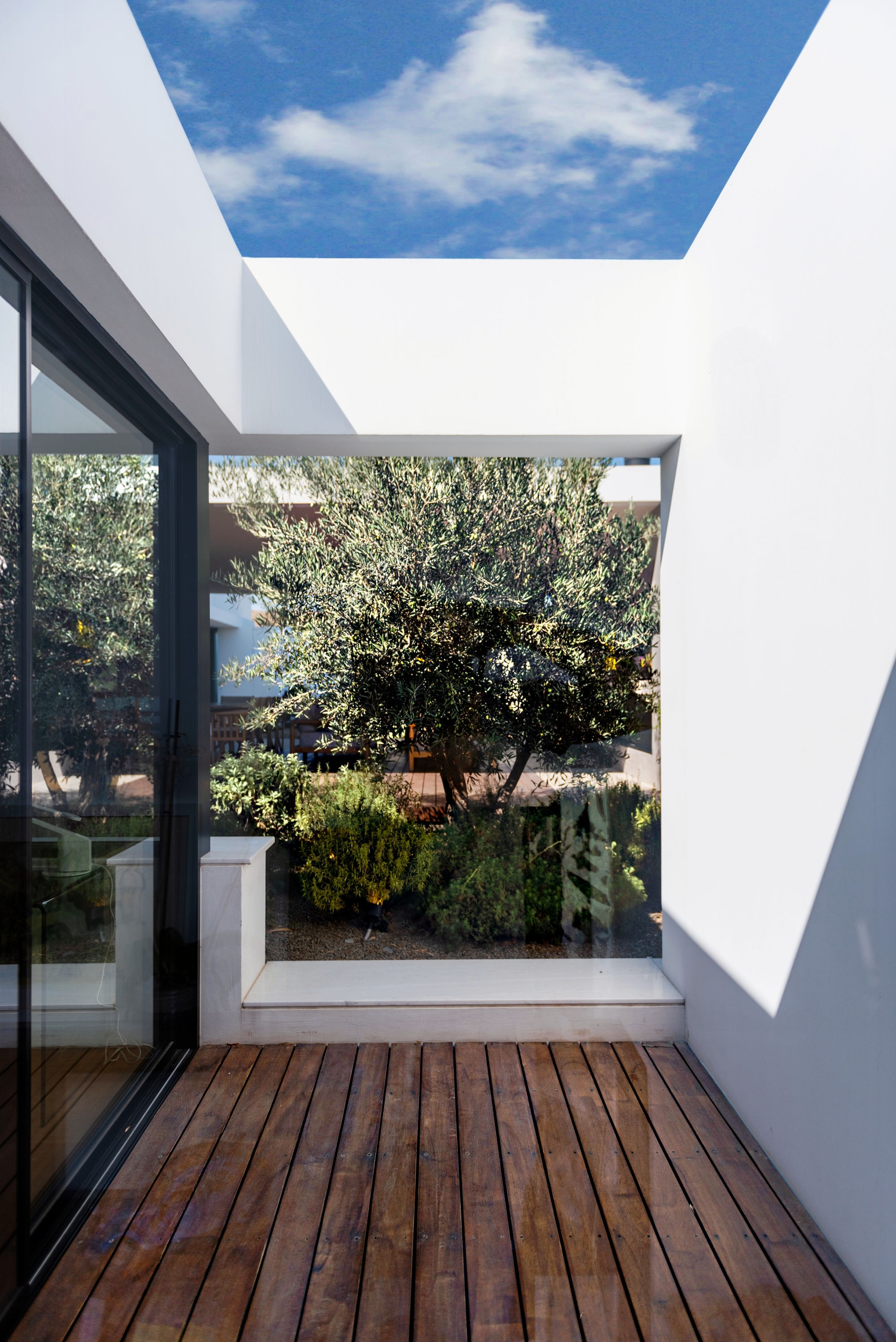 Timber deck terrace with rectangular skylight opening above framing blue sky and planted courtyard beyond