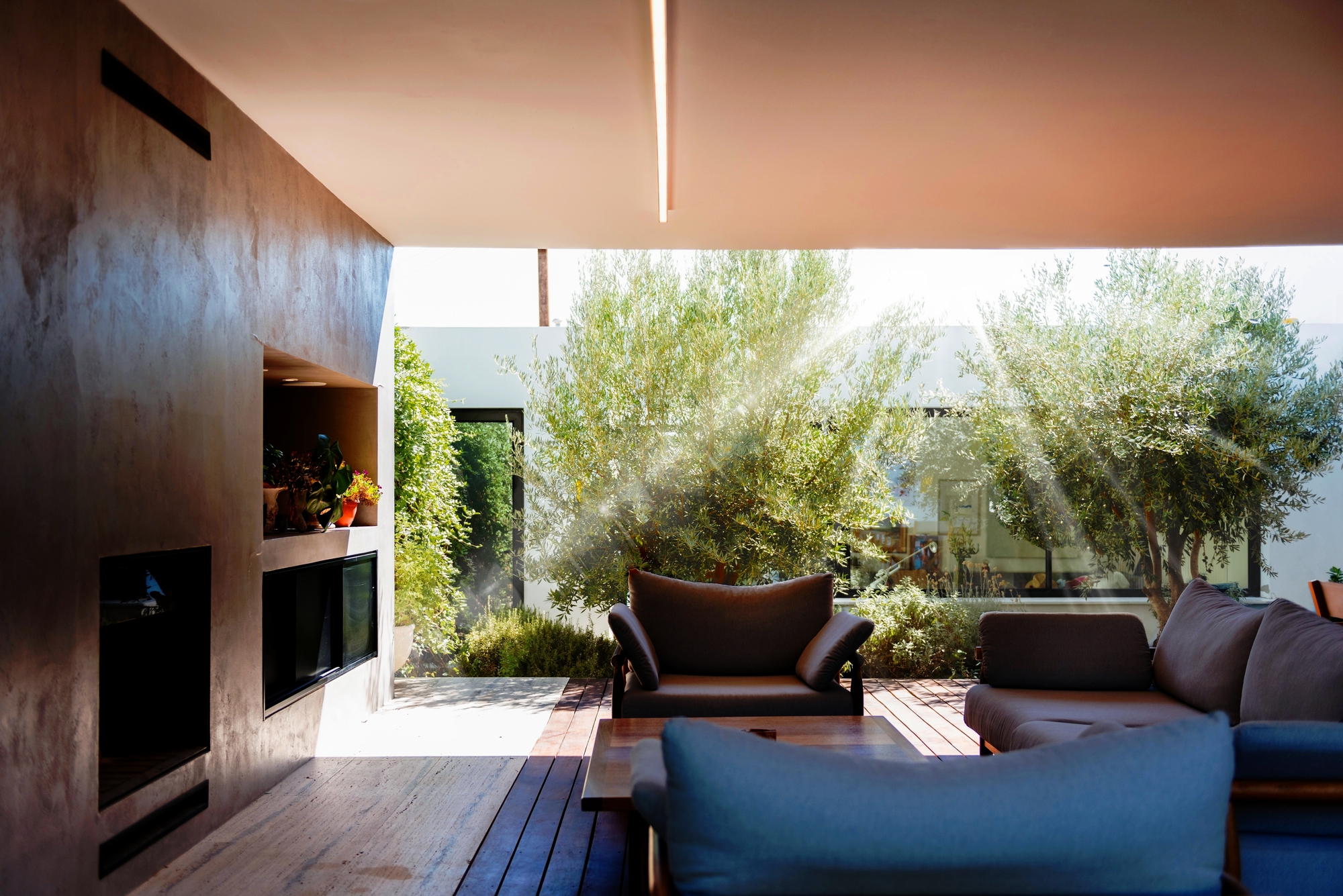Covered outdoor terrace with timber decking and leather seating overlooking courtyard planted with olive trees