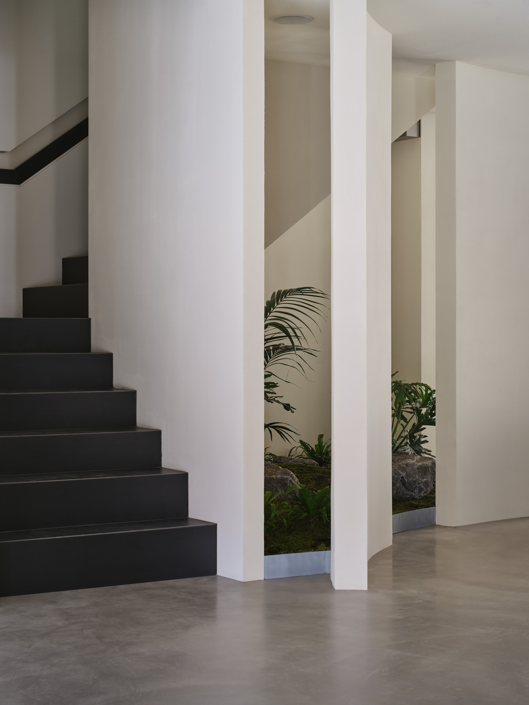 Black staircase alongside white columns framing a planted interior courtyard with palms